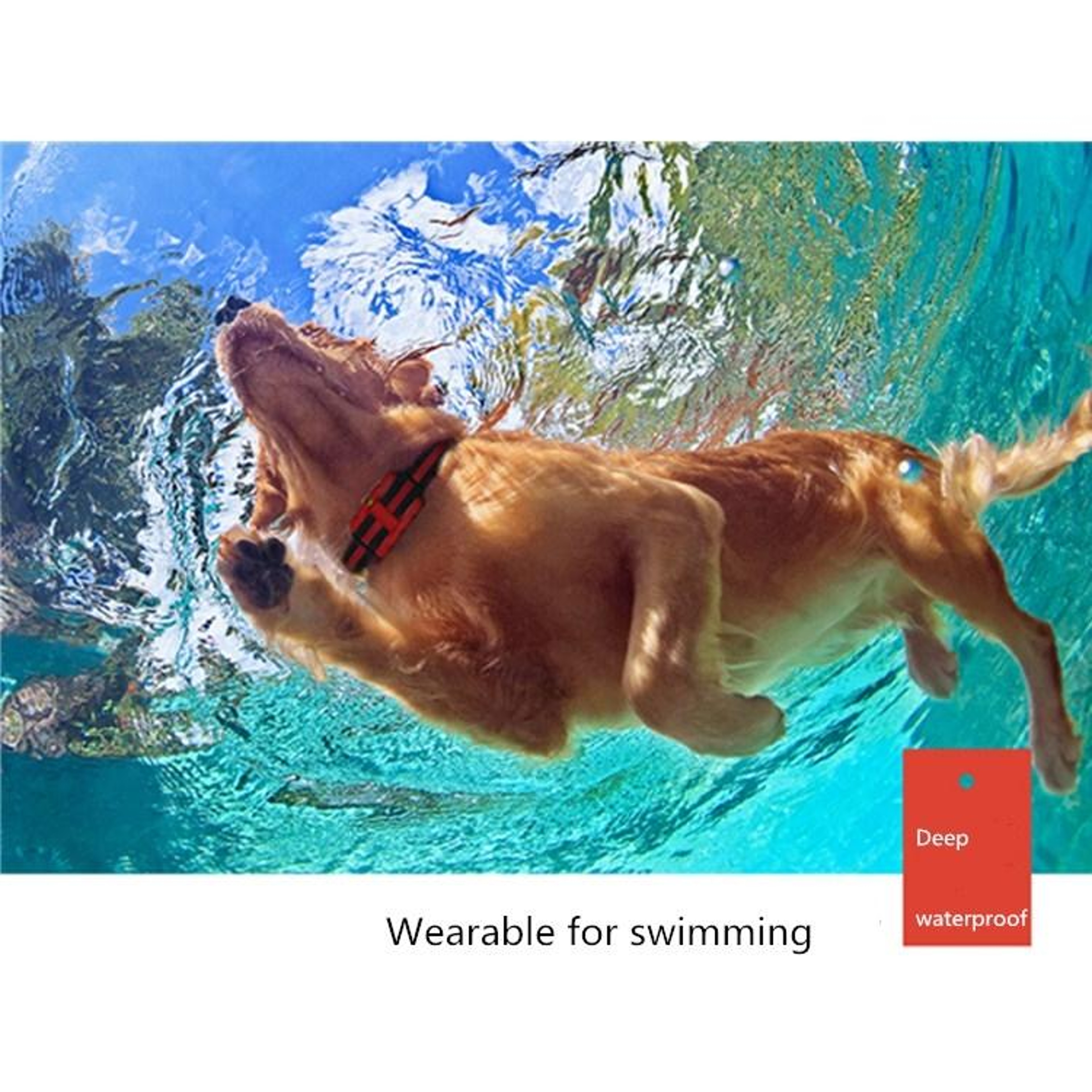 500m Dog Training Collar With Remote Control Waterproof Bark Correction System 6