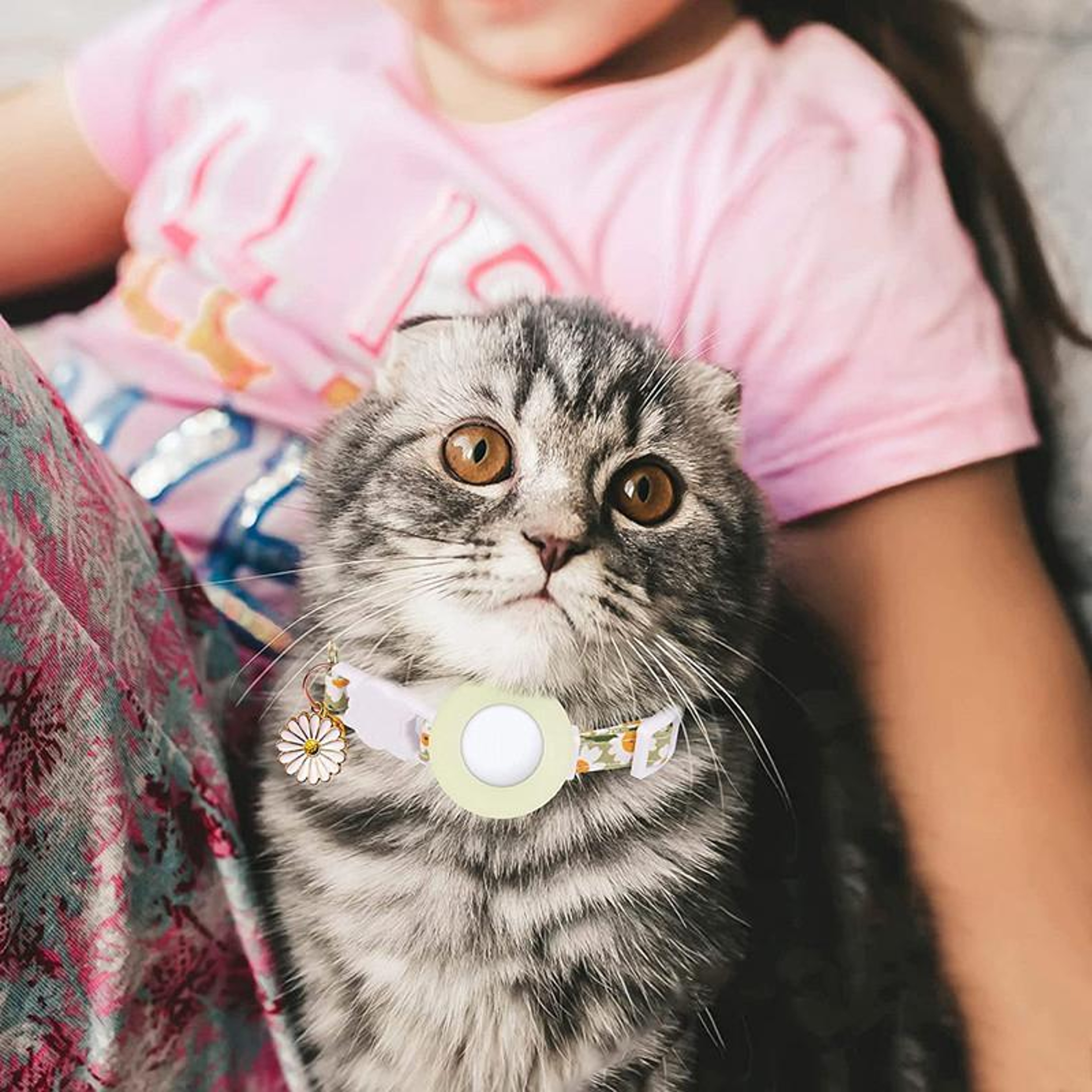 Daisy AirTag Dog  Cat Collar With Secure Tracker Holder And Bell 10
