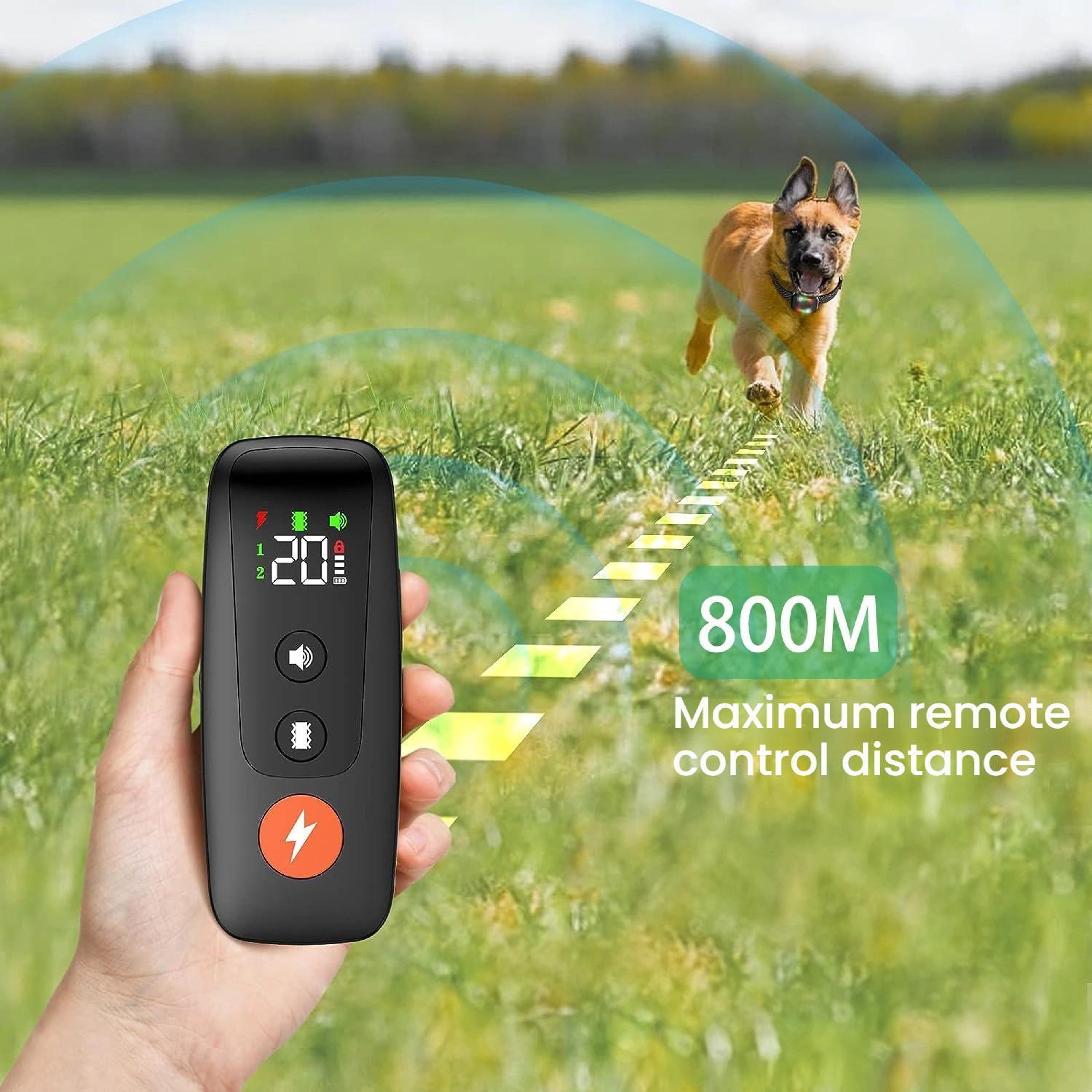 Remote Control Dog Training Collar With 800m Range  Waterproof Rechargeable Design 4