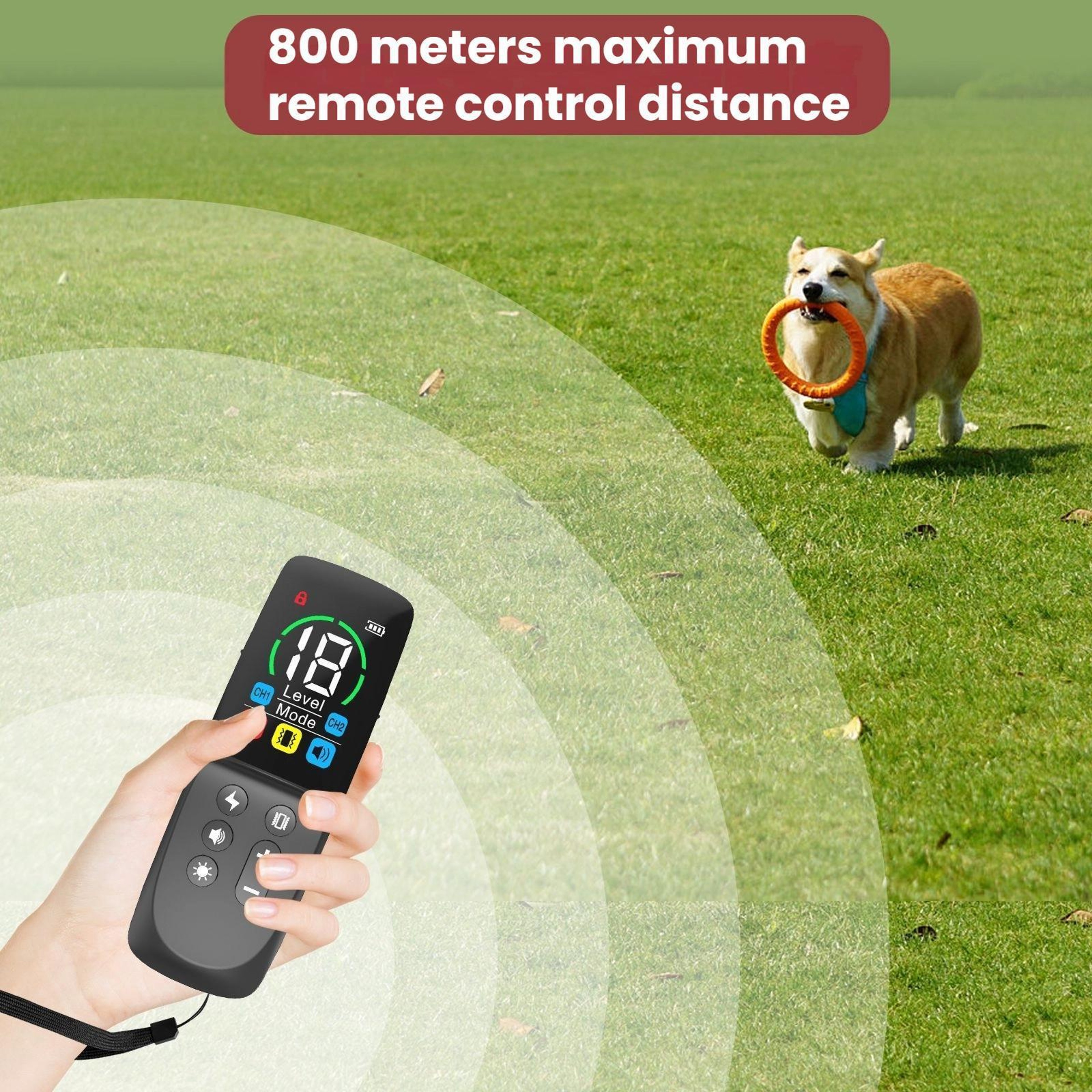 Smart Color Display Remote Dog Training Collar With Waterproof Anti Bark Control 8
