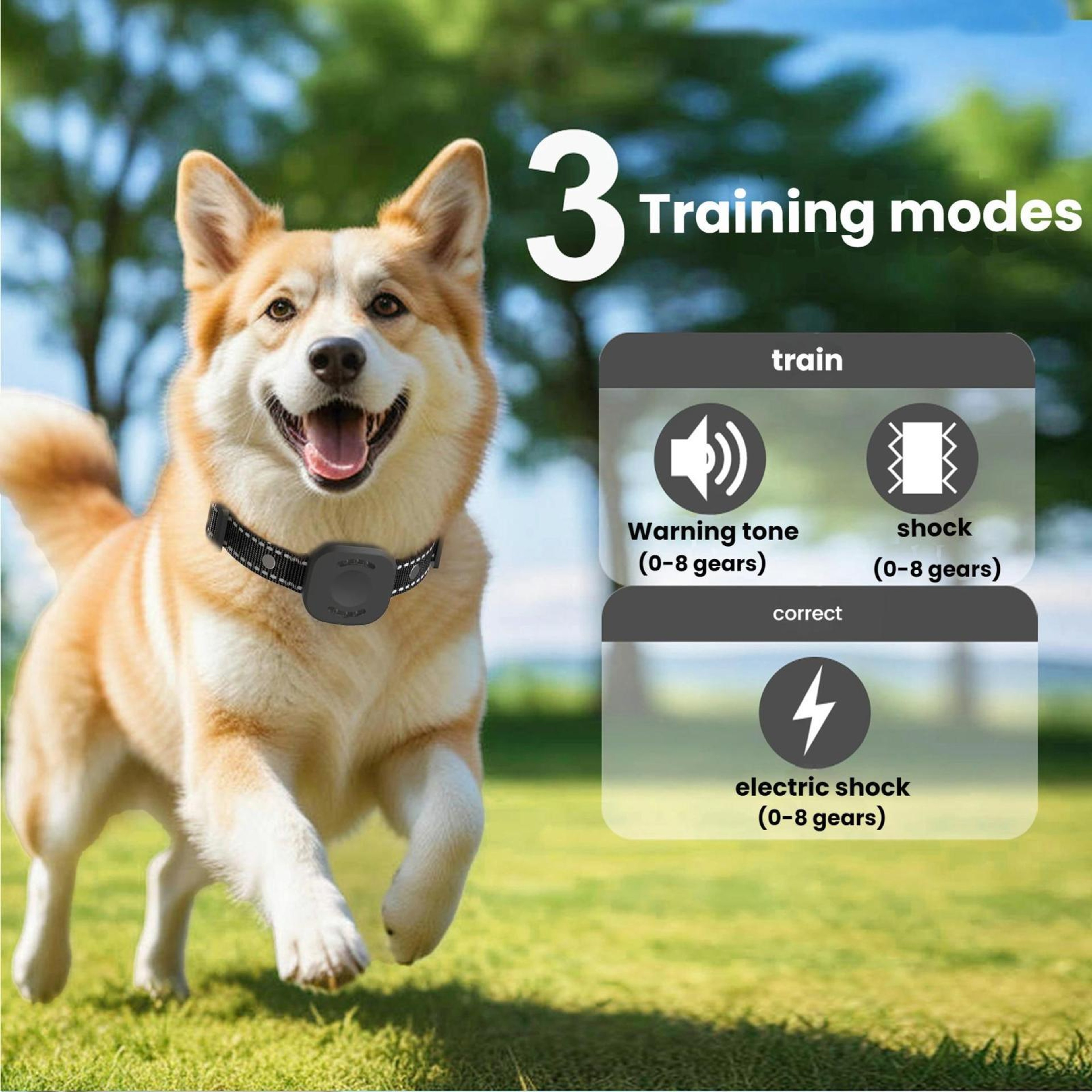 SafeBound Wireless Dog Fence  Smart Training Collar With 480m Remote Range 4