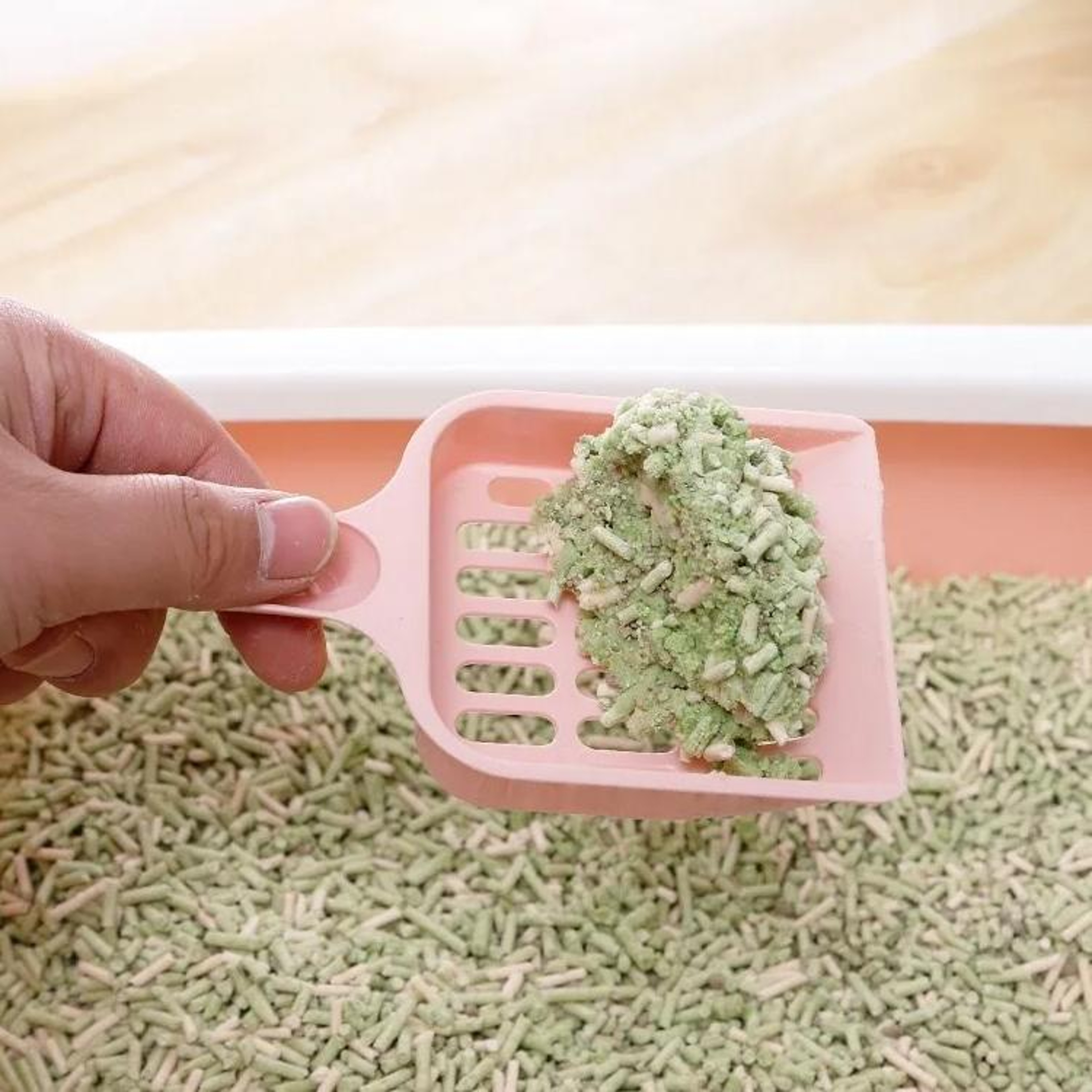 Compact Cat Litter Scoop For Tofu Litter Durable Hollow Grid Cat Litter Shovel 1