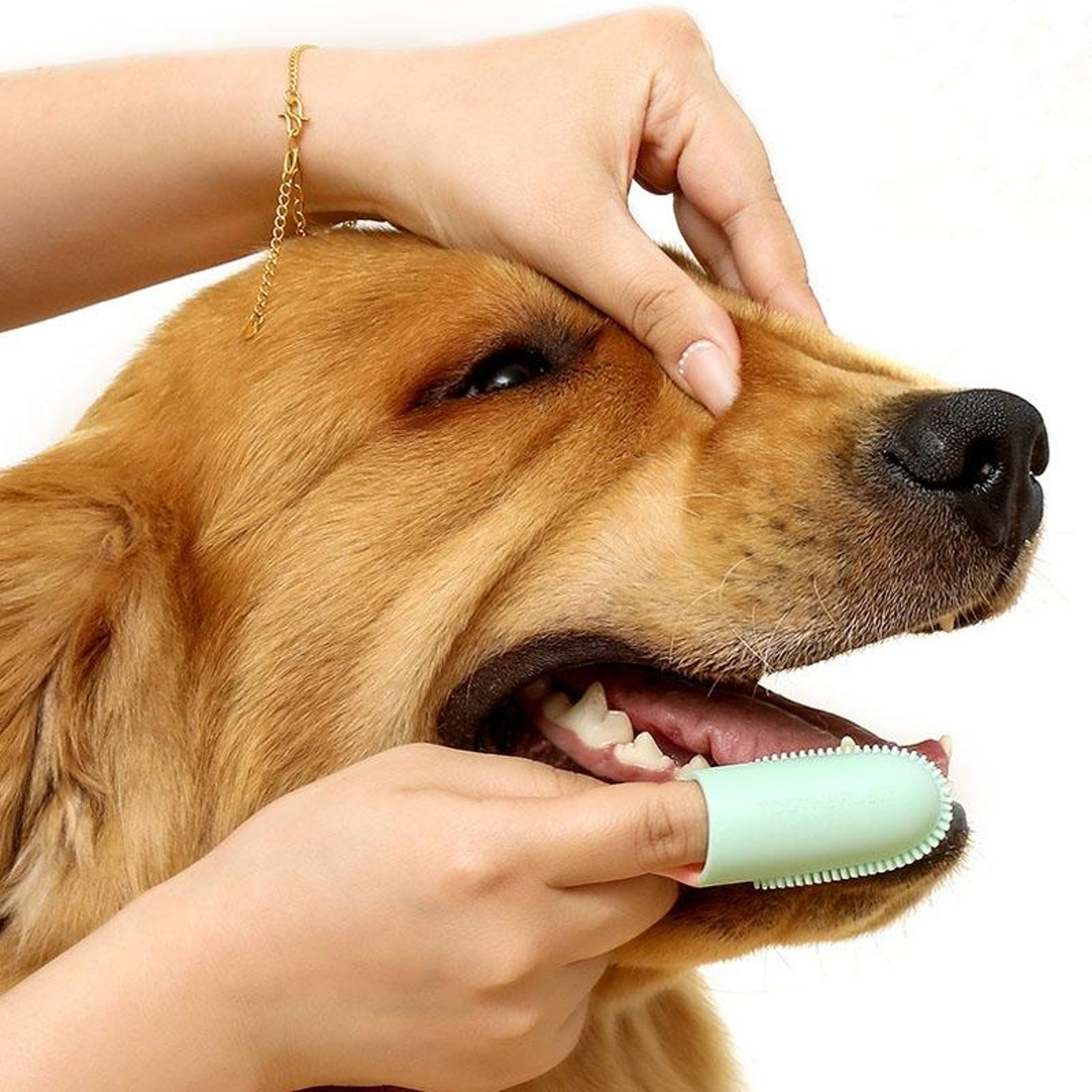 360 Pet Toothbrush With Ergonomic Handle For Dogs  Cats Oral Care 10