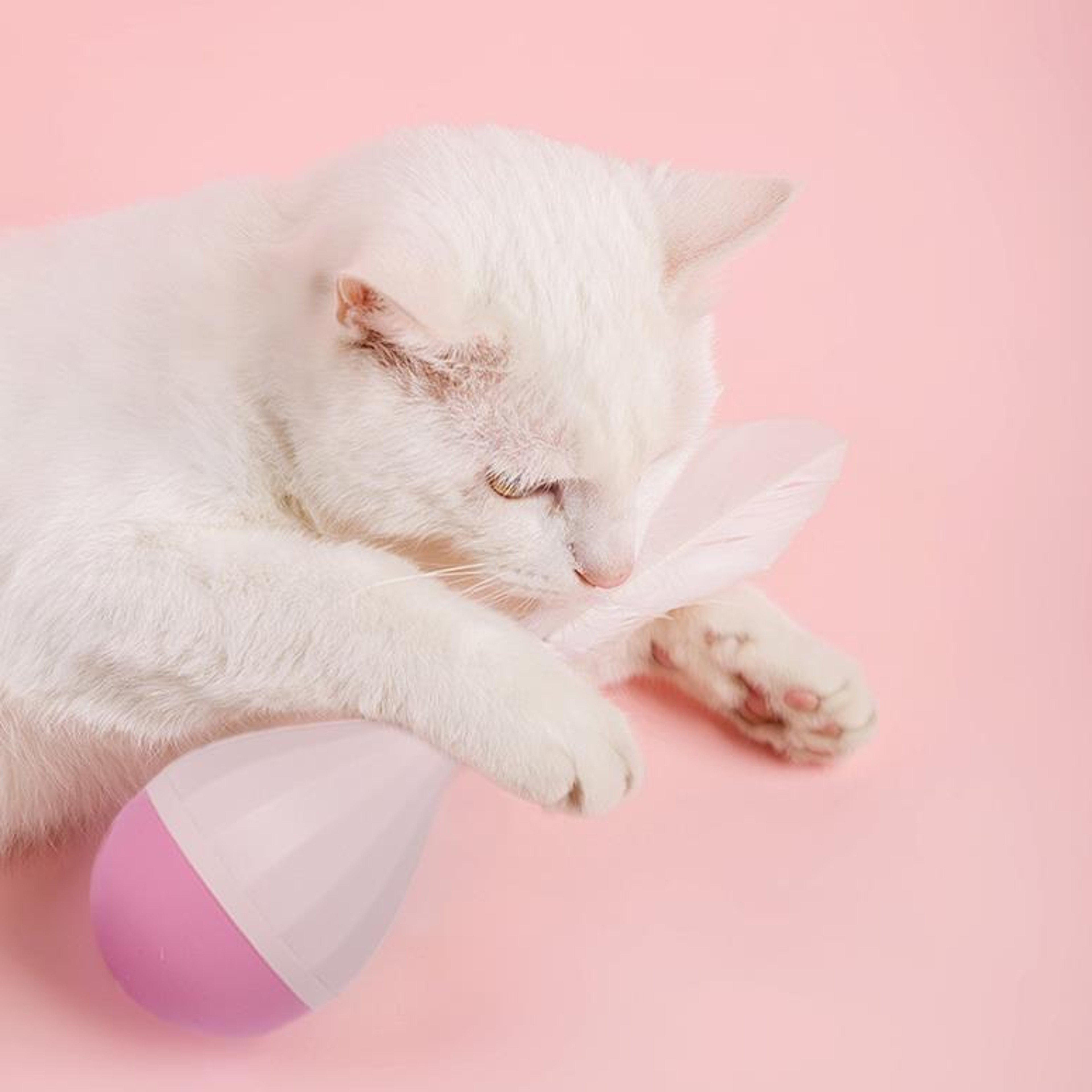 Feather Tumbler Interactive Cat Toy For Indoor Cats With Replaceable Teaser Wand 1
