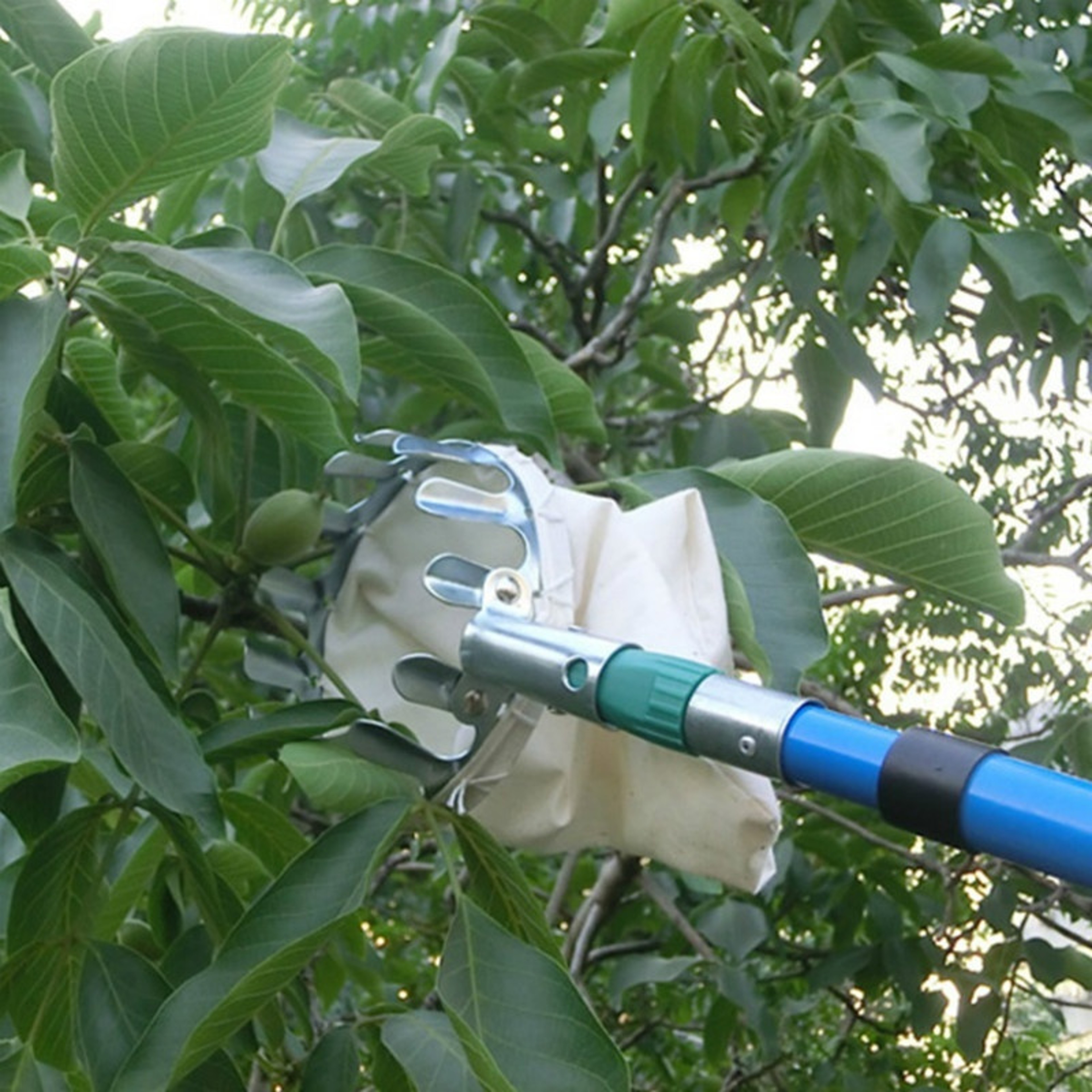 High-altitude Fruit Picker Device, Convenient Gardening Tools, Apple Pear Peach Horticultural Fruit Picker – view 5