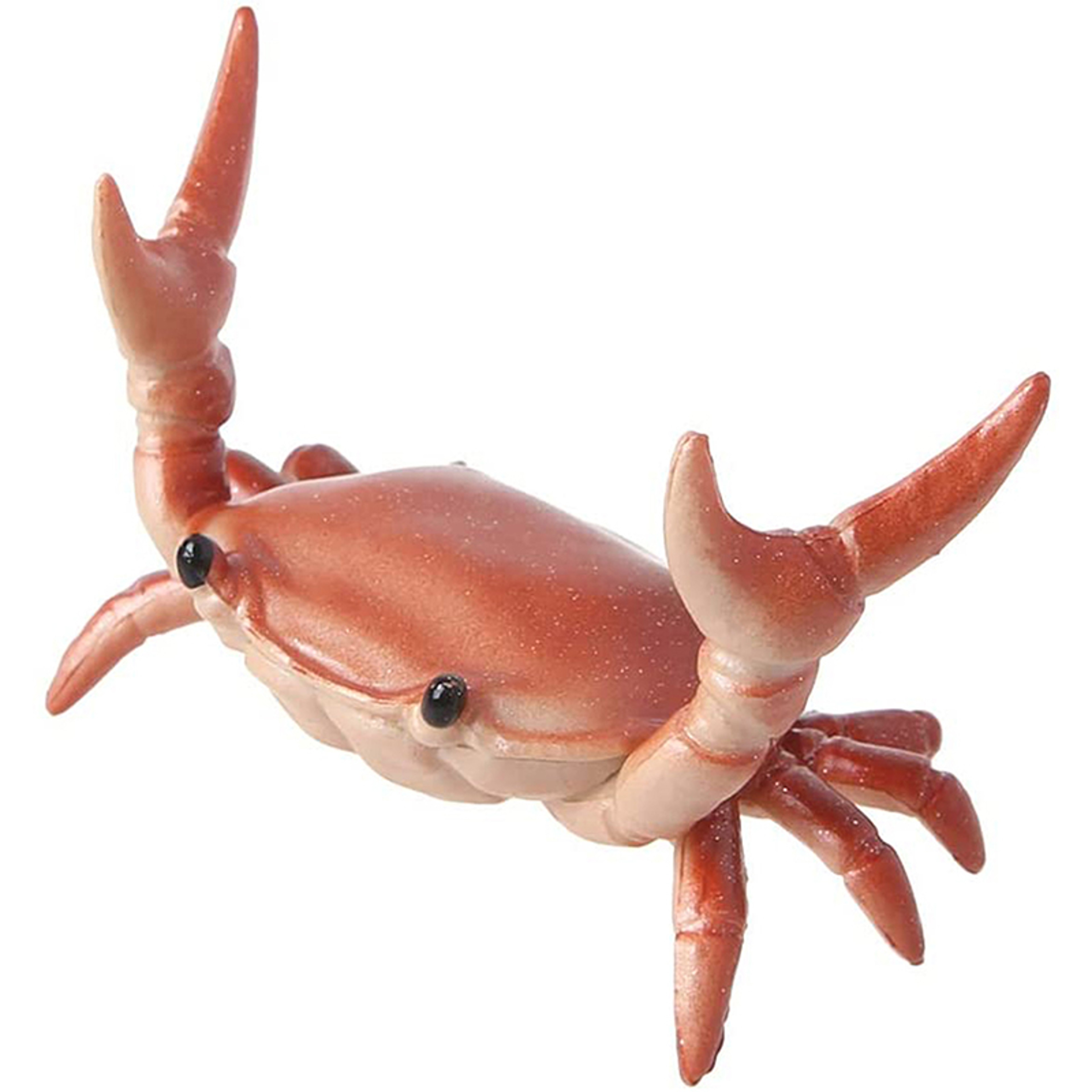 Cute Crab Pen Holder, Weightlifting Crabs Penholder, Japanese Creative Stationery Rack for Gifts – view 10