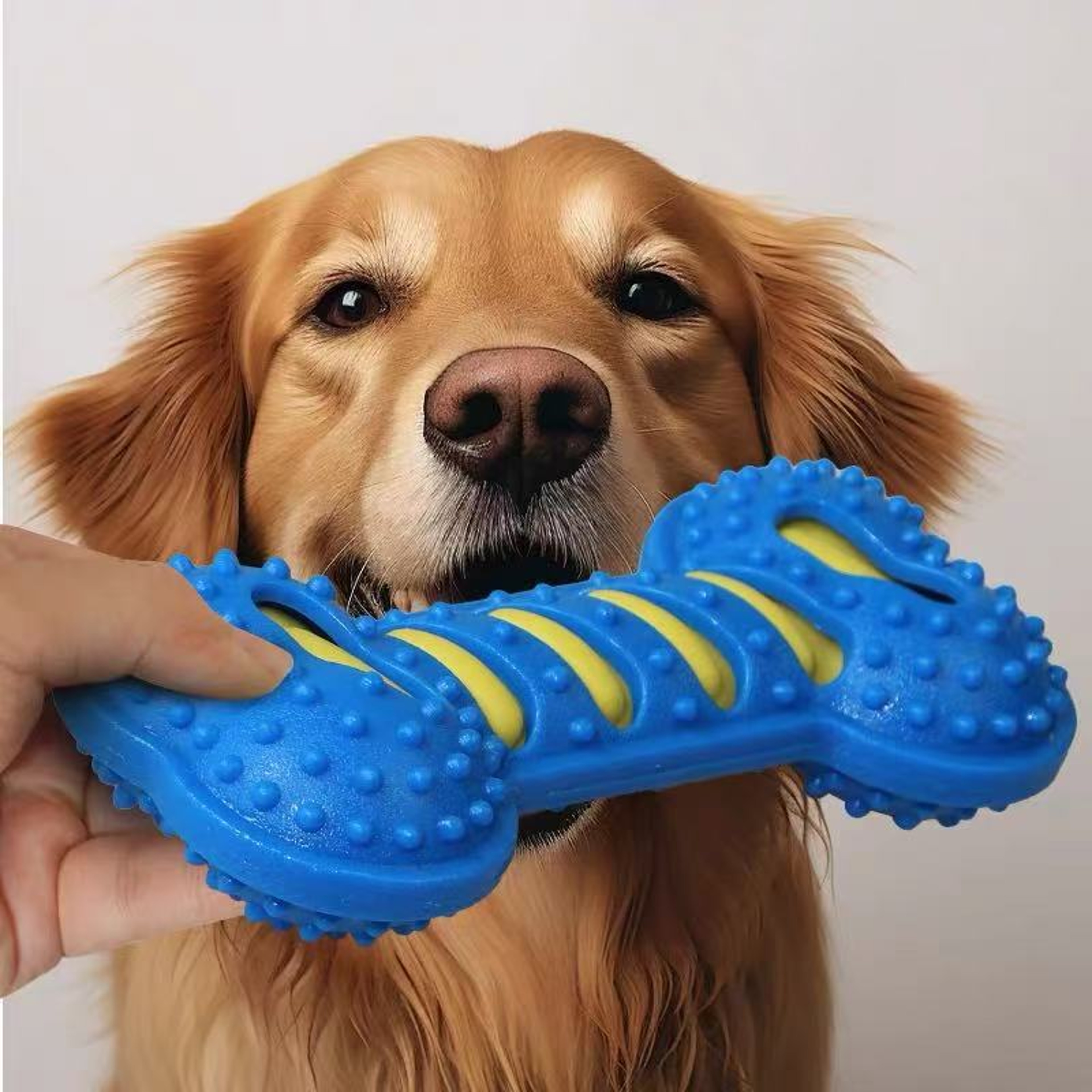 Interactive Dog Toys Squeaky, Pet Dog Chew Toys Rubber Bone Toy for Puppies – view 8