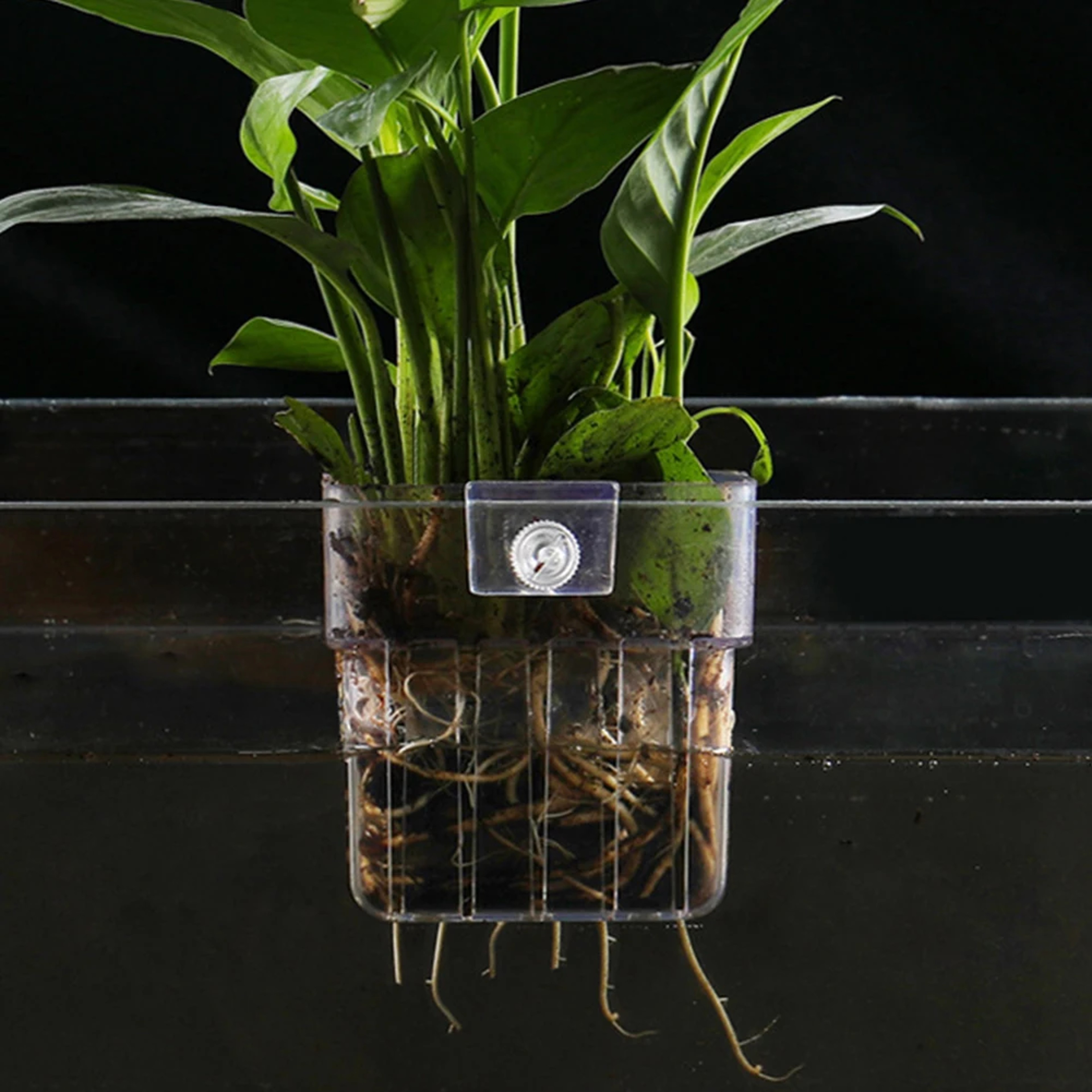 Hanging Pot Aquatic Plants Holder Aquarium Plant Cup Fish Tank Planter 0