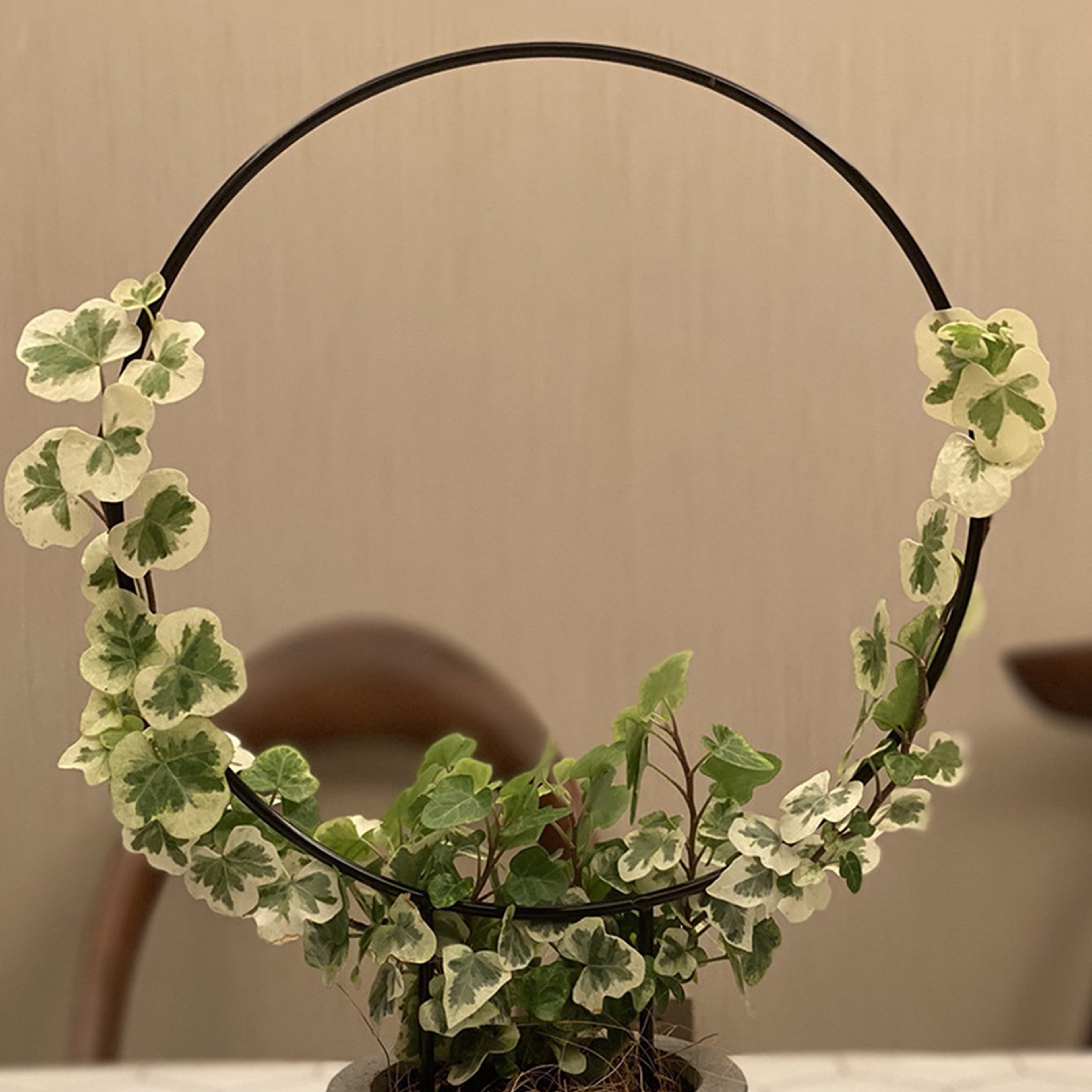 Iron Garden Trellis With Black Rust Proof Coating For Climbing Plants Indoor Flower Vine Support 3