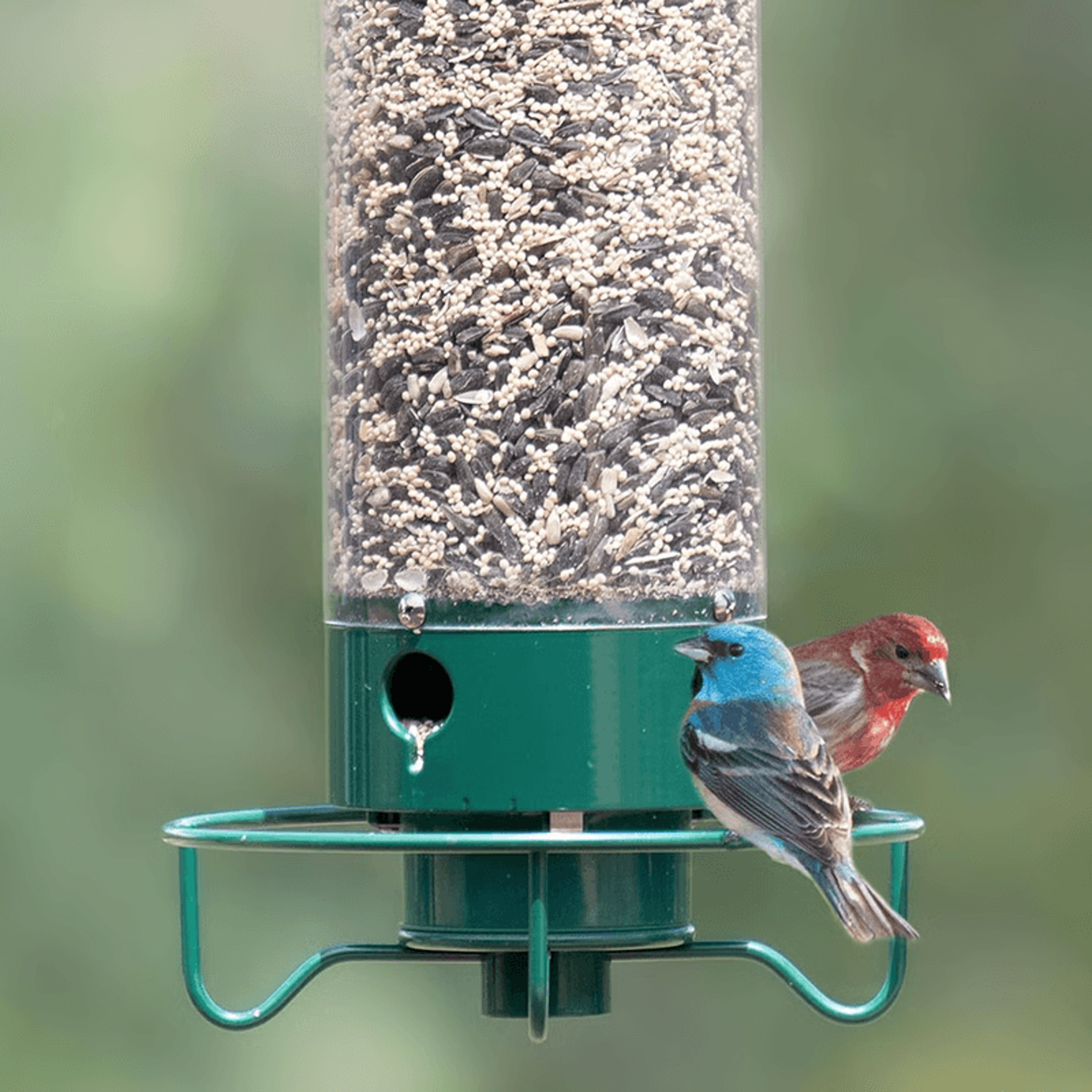Portable Bird Feeder For Garden Yard Outdoor Wrought Iron Hanging Hummingbird Feeder 0
