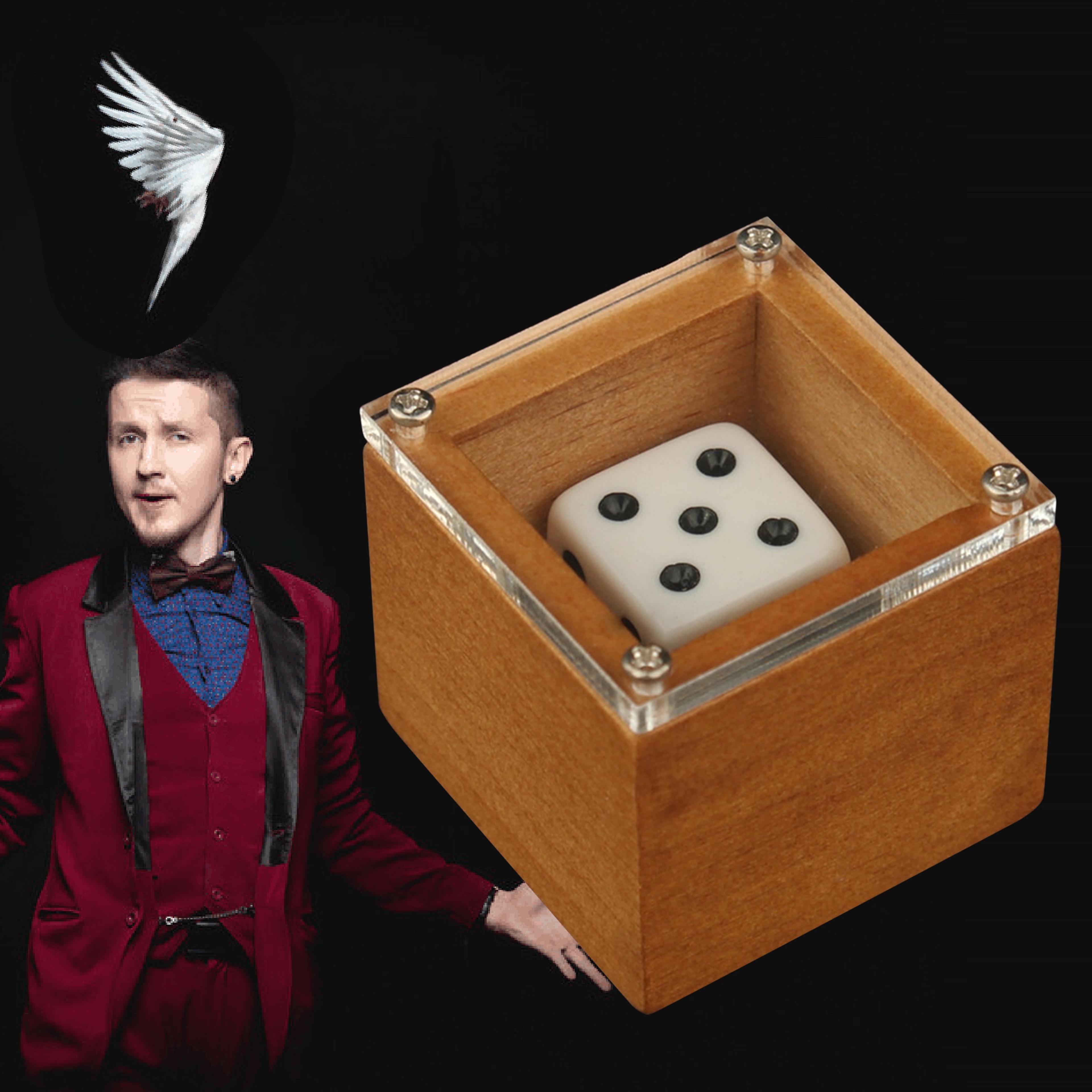 Magic Dice Trick Dot Number Changing Illusion Prop For Kids  Adults  Stage  CloseUp Magic 0