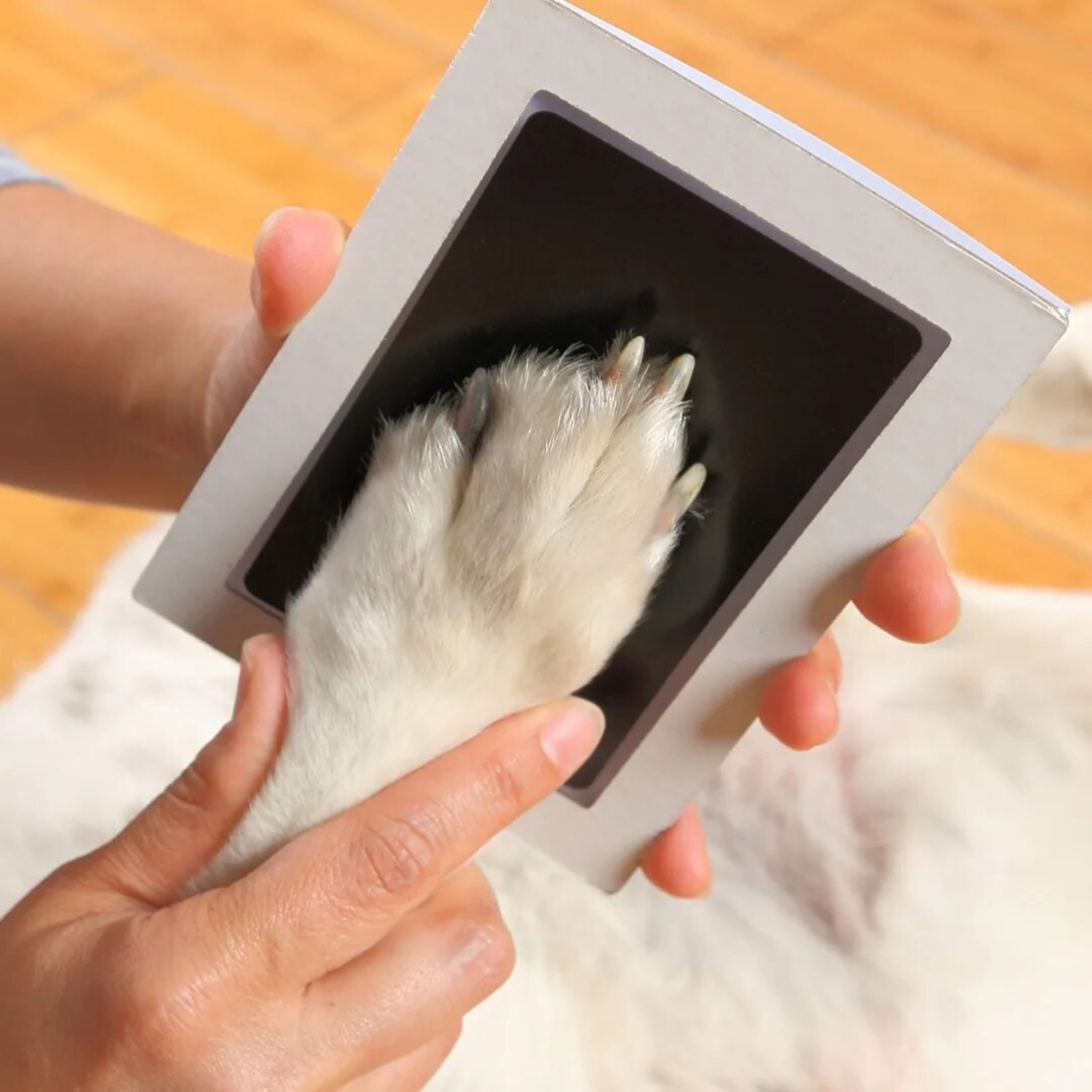 Paw Print Clean Touch Ink Pad Safe Inkless DIY Nose  Pawprint Impression Kit For Dogs  Cats Perfect 0