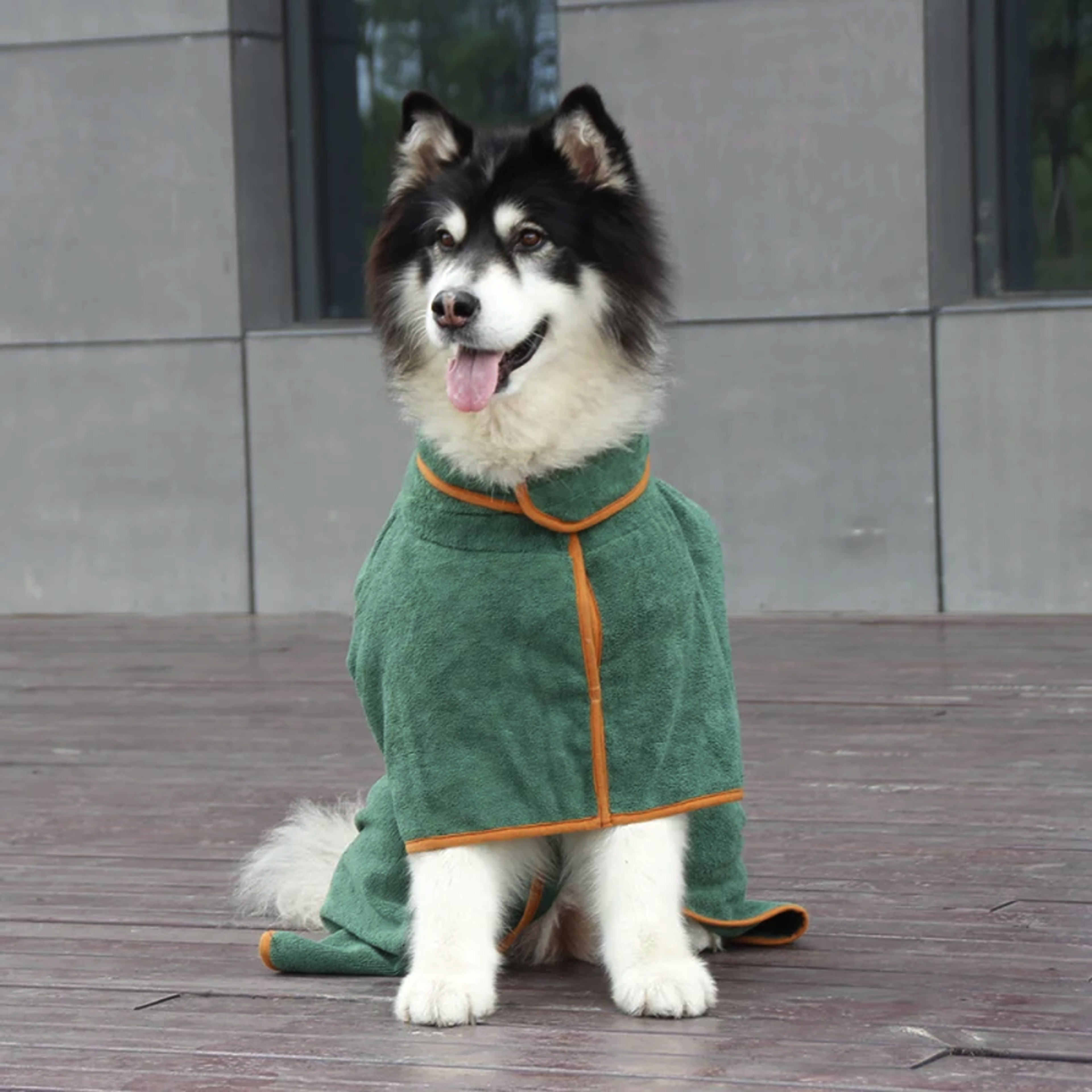 Super Absorbent Pet Bathrobe2.png