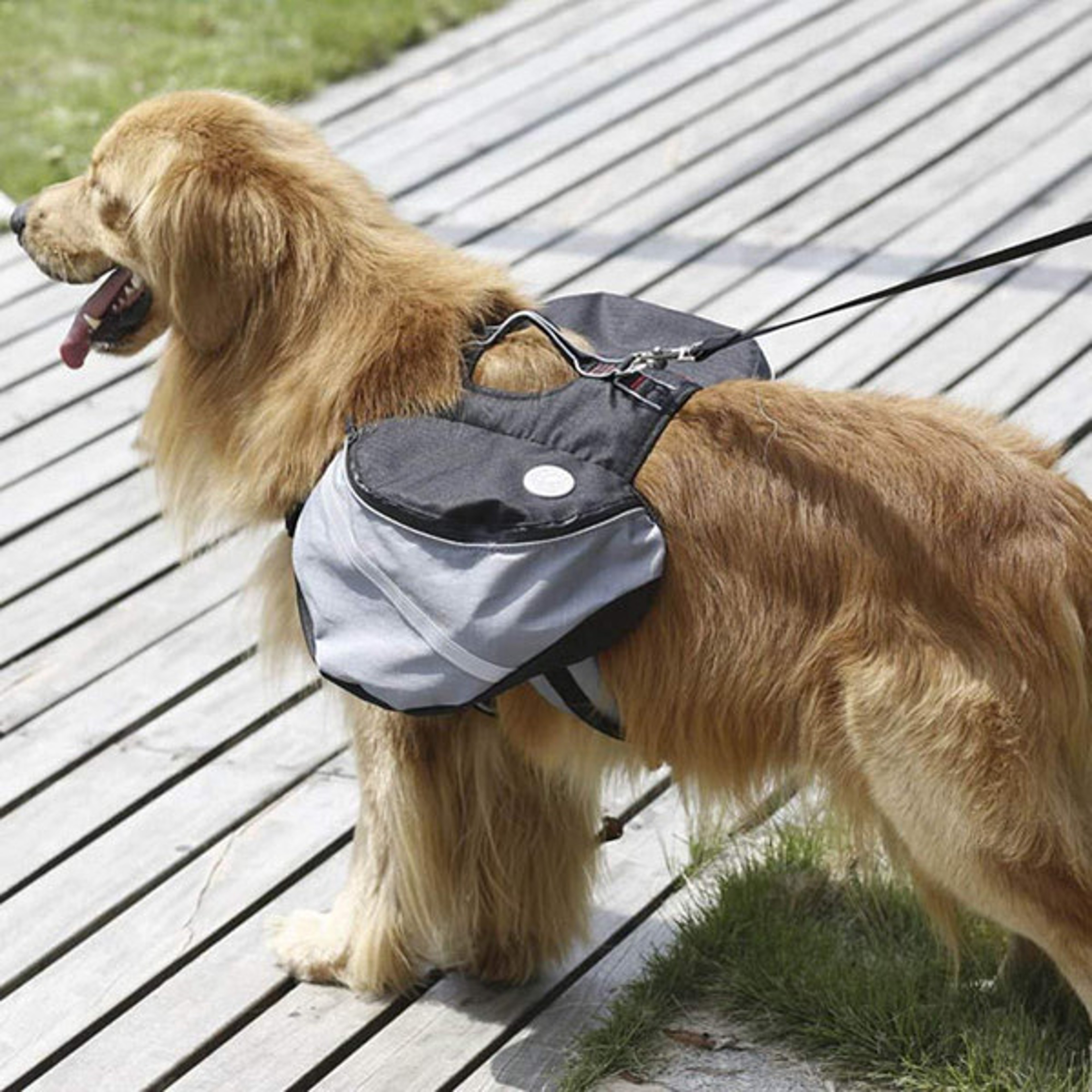 Outdoor Dog Backpack (10).jpg