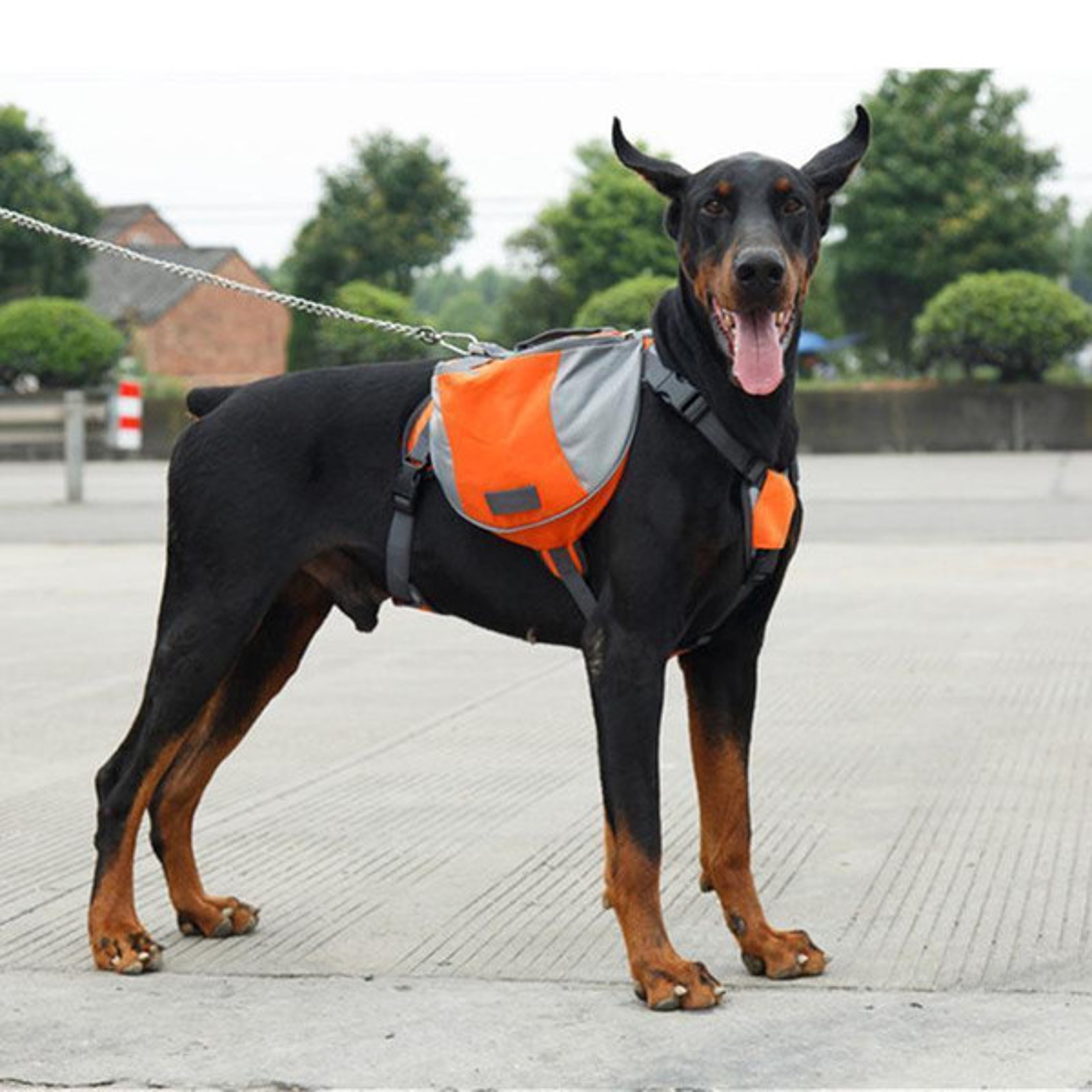 Outdoor Dog Backpack (8).jpg