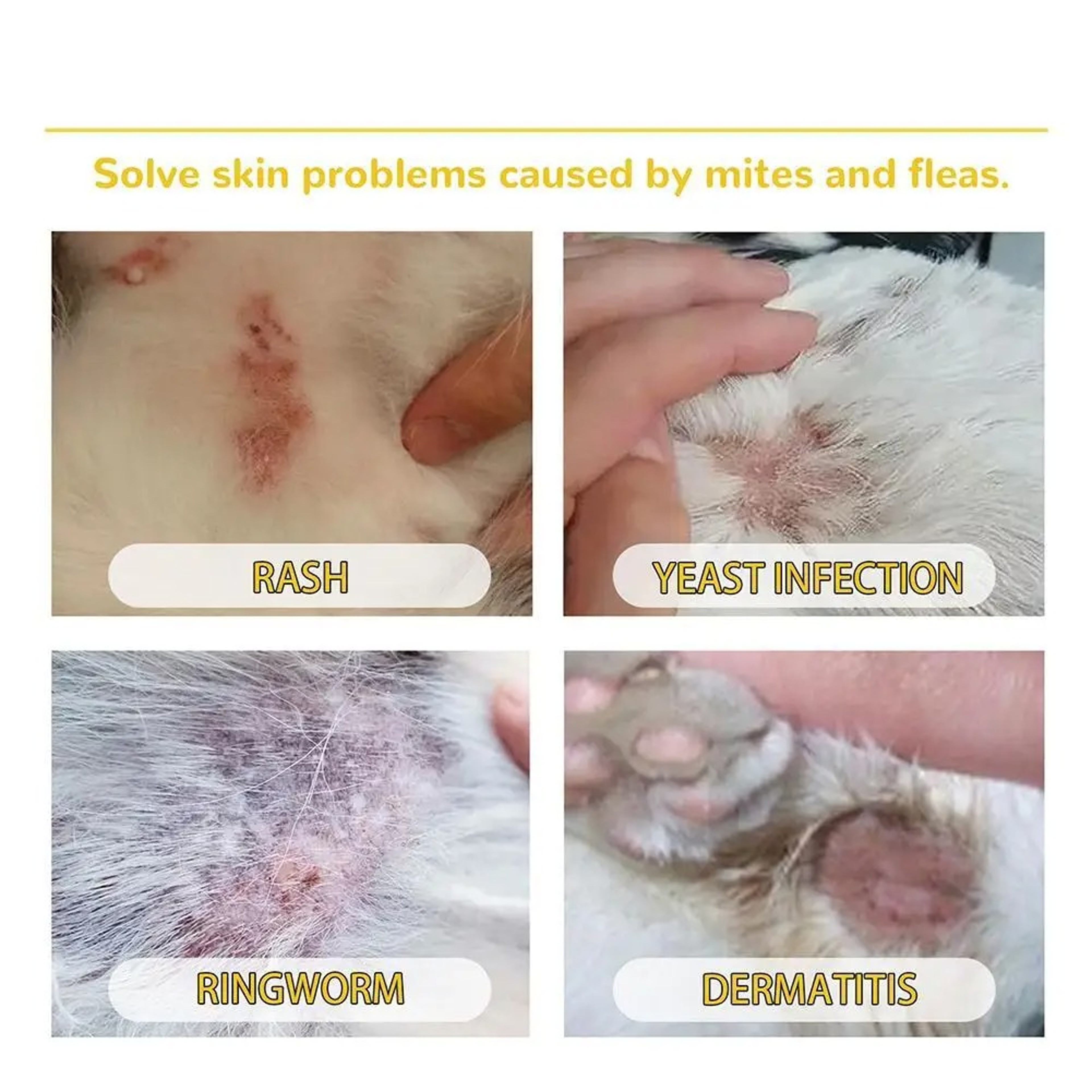 Natural AntiFlea  Tick Drops For Dogs And Cats  Relieve Itching  Remove Lice 4