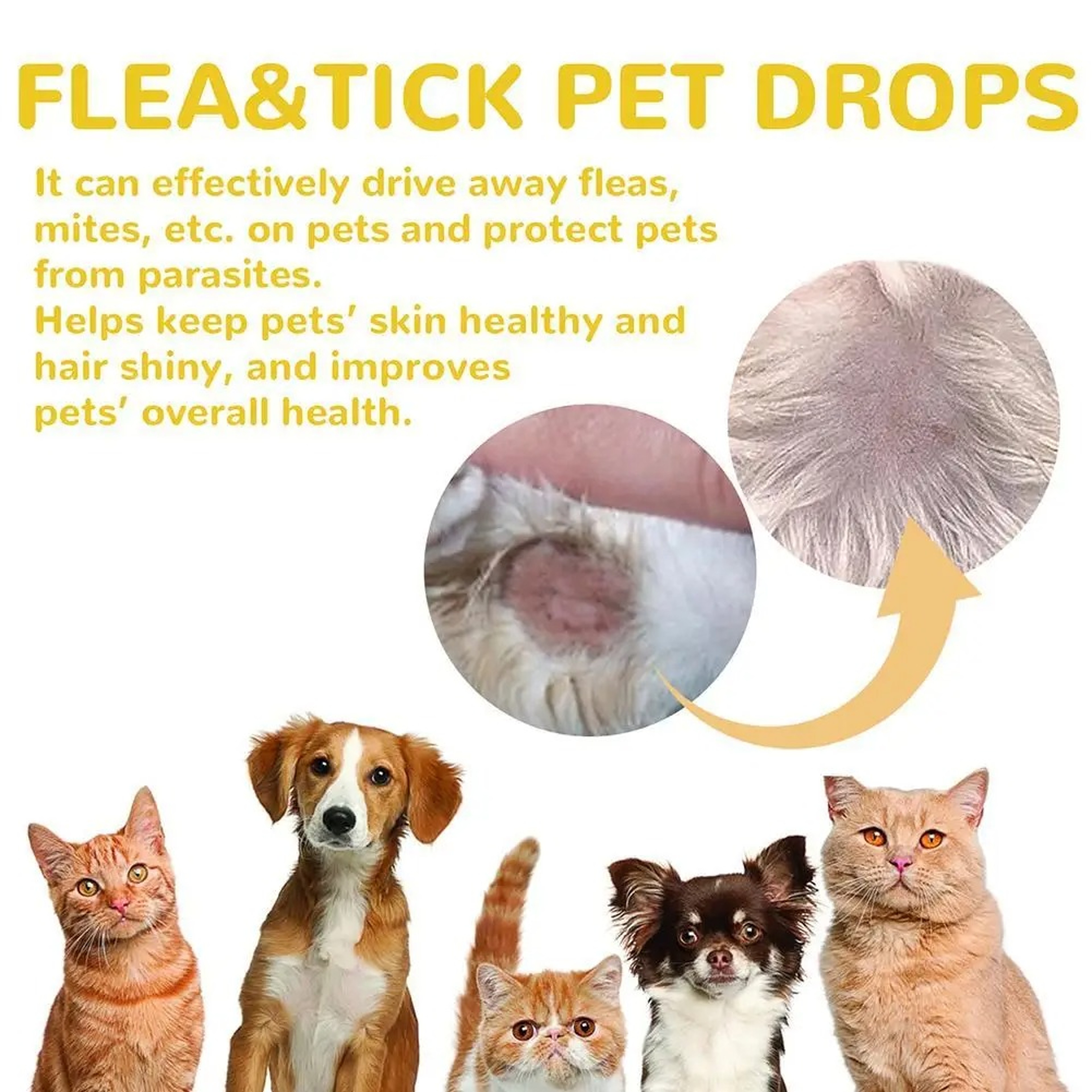 Natural AntiFlea  Tick Drops For Dogs And Cats  Relieve Itching  Remove Lice 3