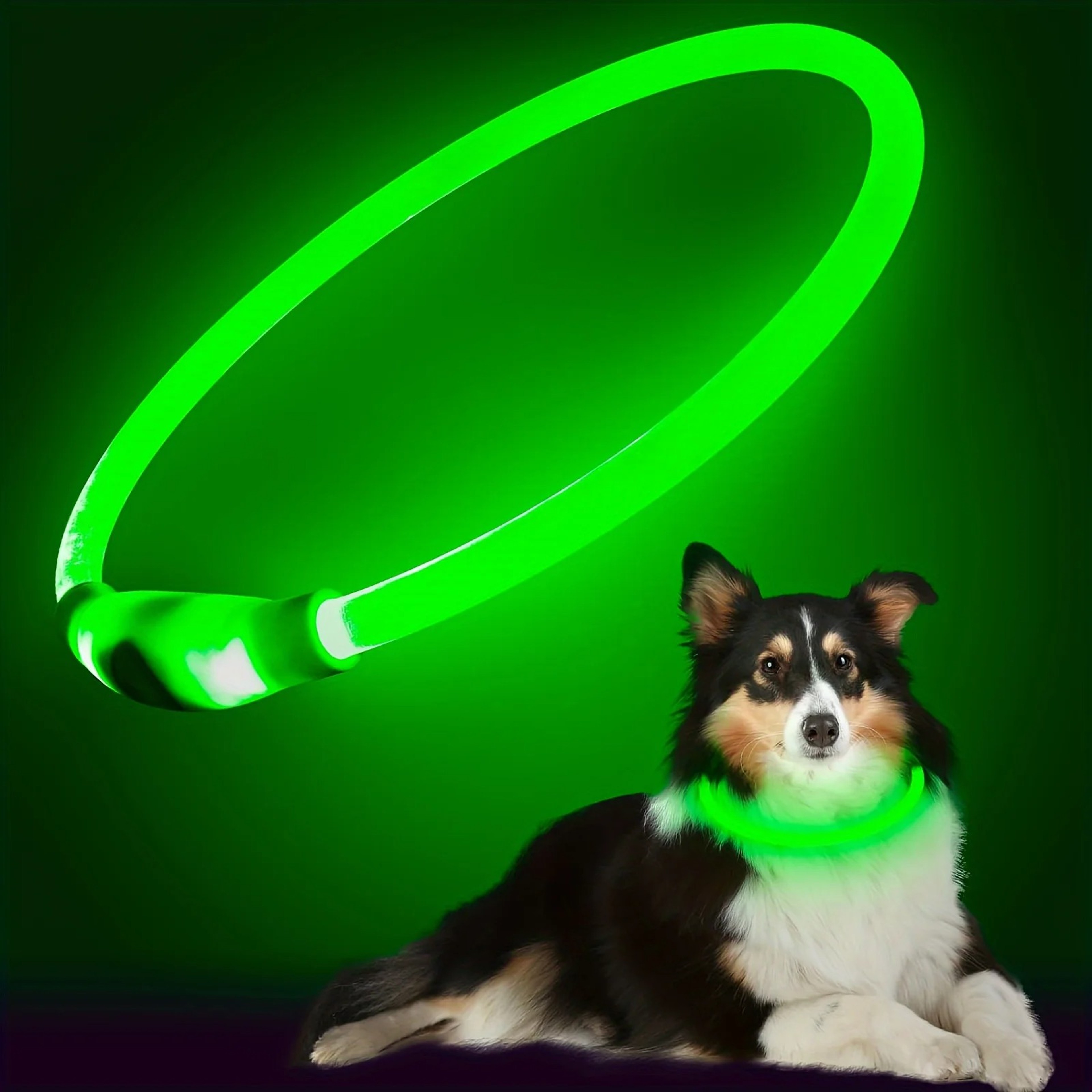 USB Rechargeable LED Dog Collar  HighVisibility LightUp Safety Necklace 6