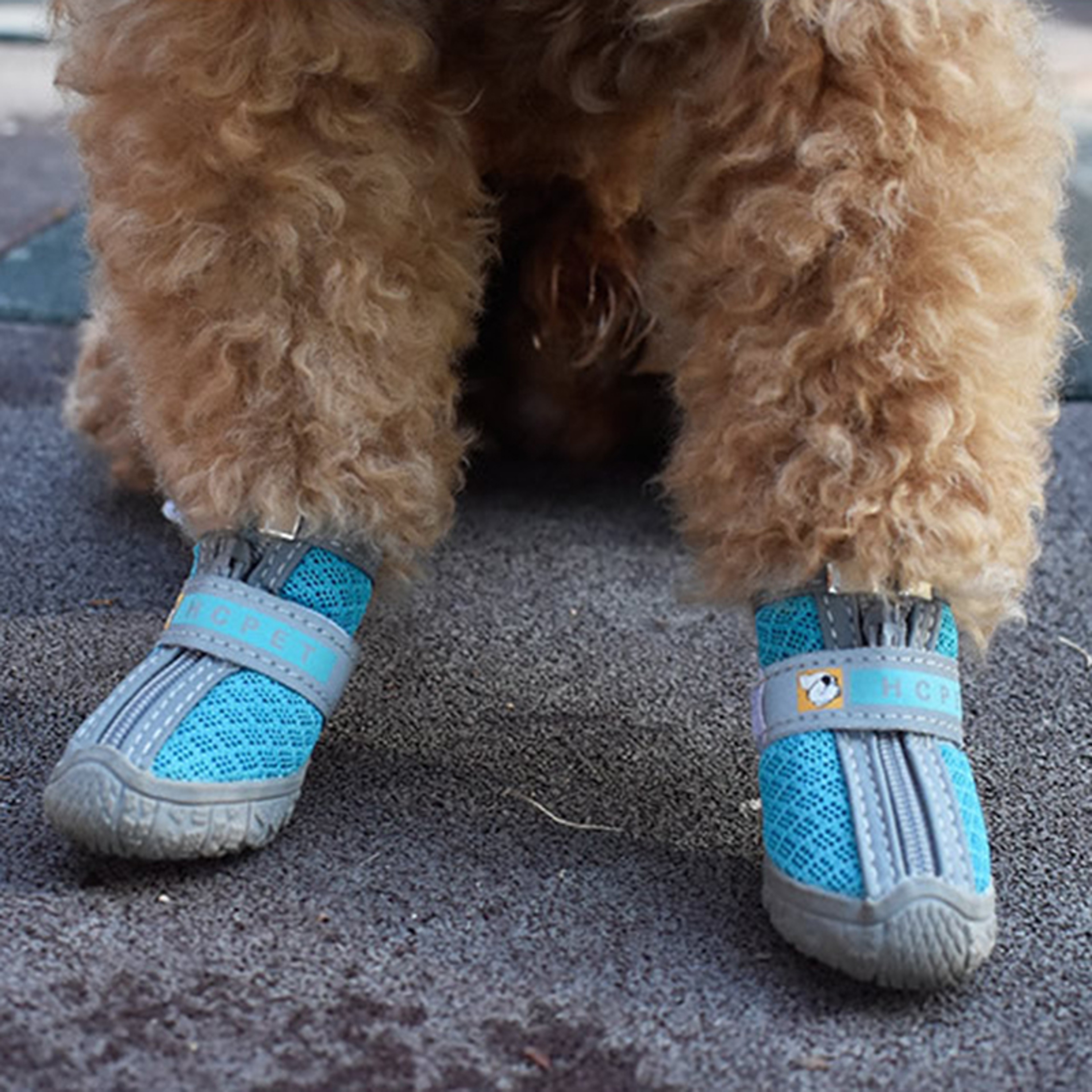 Dog Shoes with Non-Slip Soles, Thick Plush Paw Protection, Warm Breathable Pet Booties for All-Season Comfort – view 2