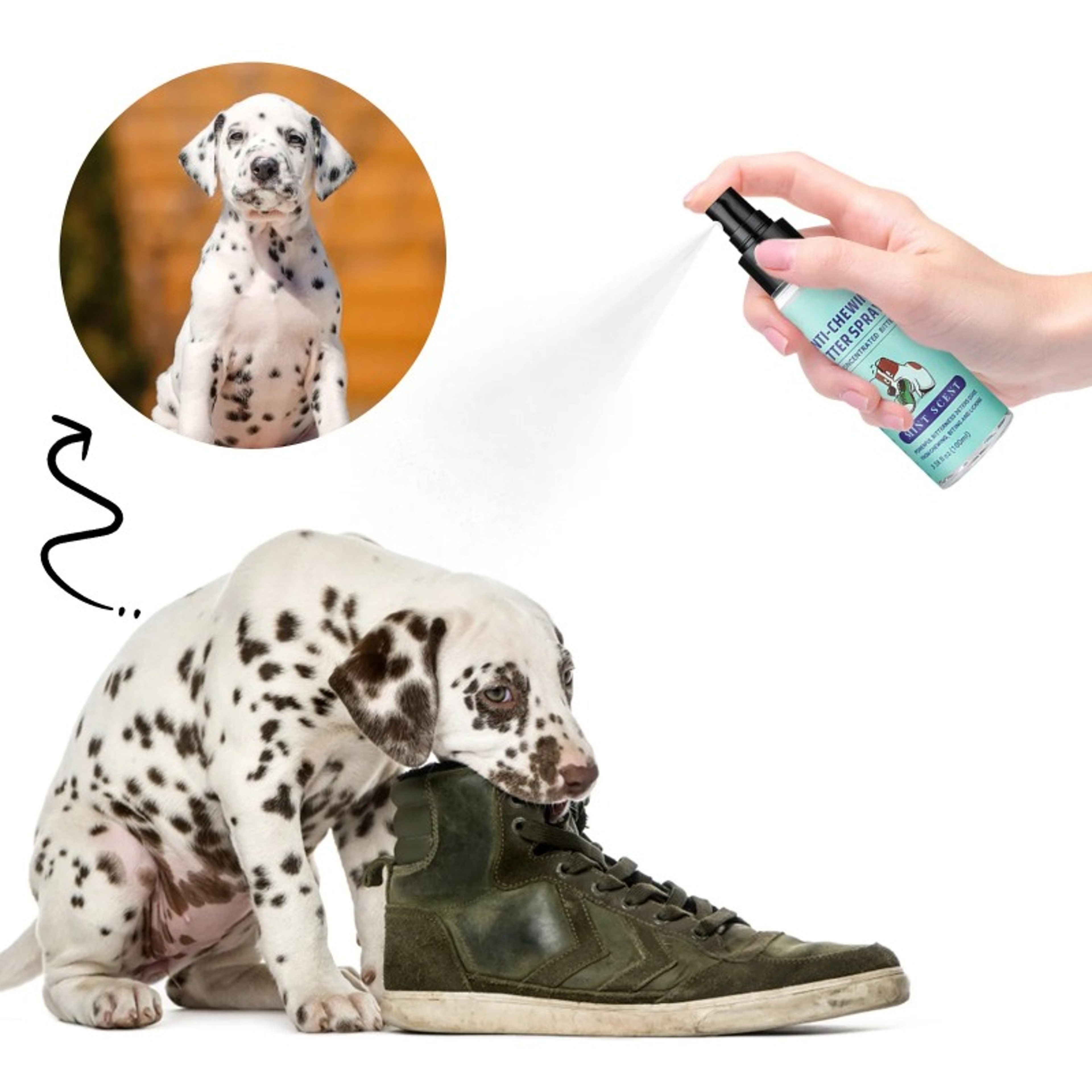 Bitter No Chew Spray Furniture Surface Protector For Dogs Stop Chewing Biting Training Repellent An 0