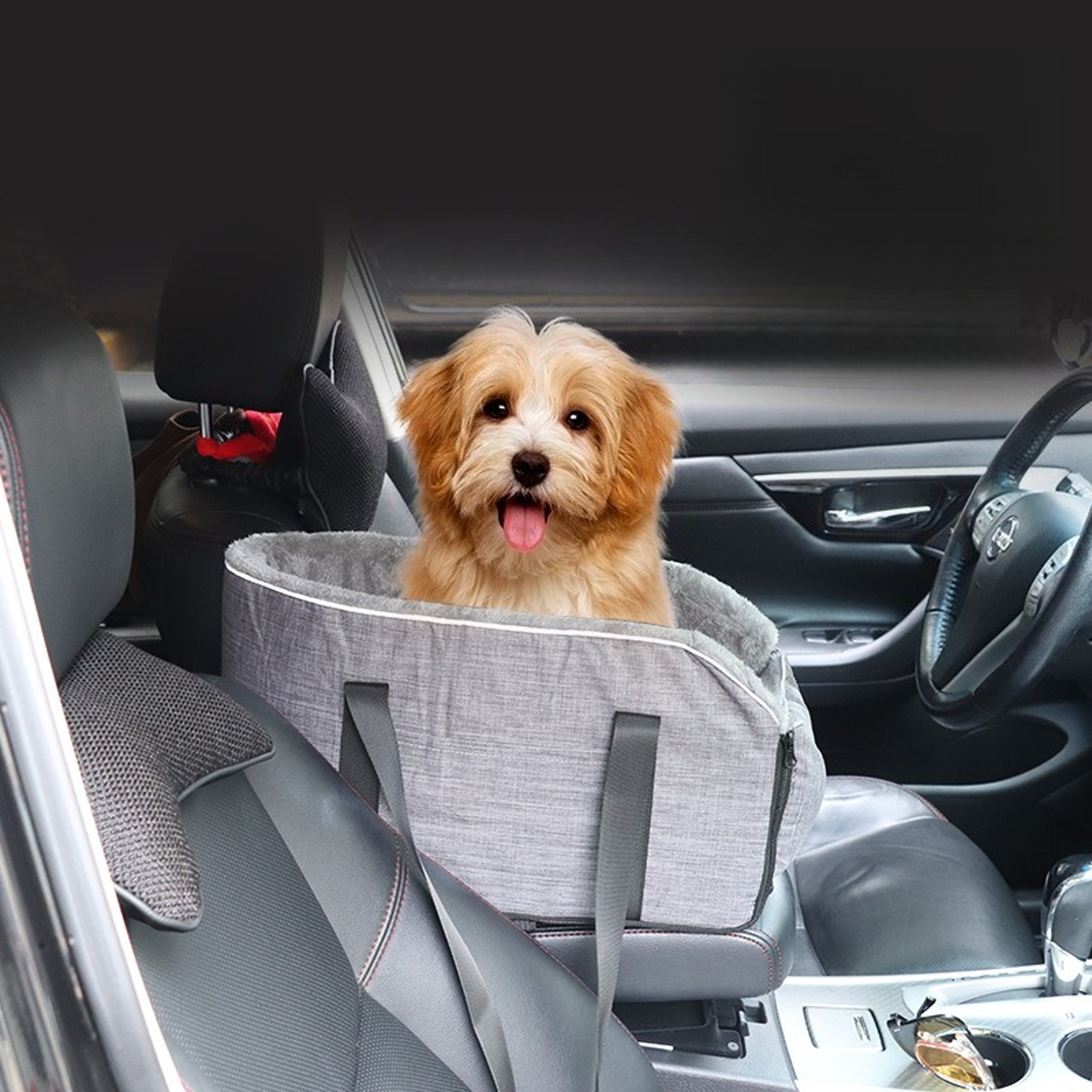 Portable Pet Car Seat, Central Control Safety Buckle, Detachable Armrest Pillow Lift Seat for Medium Small Dogs Cats – view 4