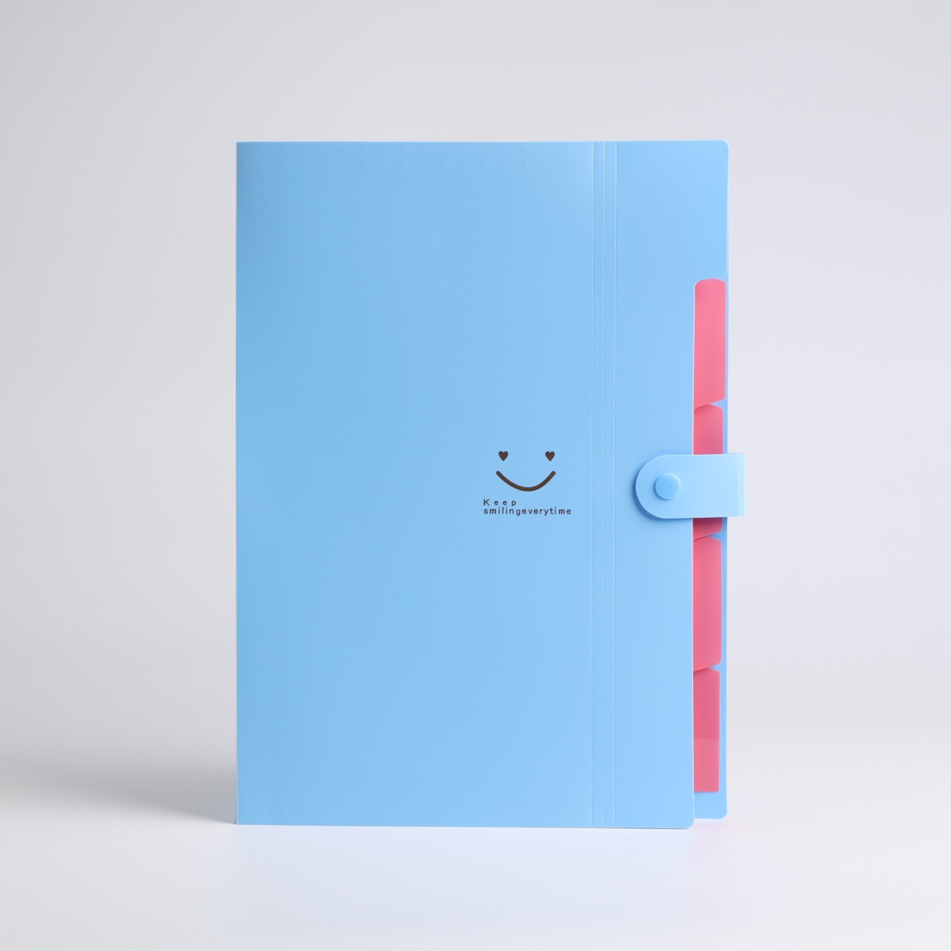 Pocket Accordion File Folder For Documents And Receipts 3