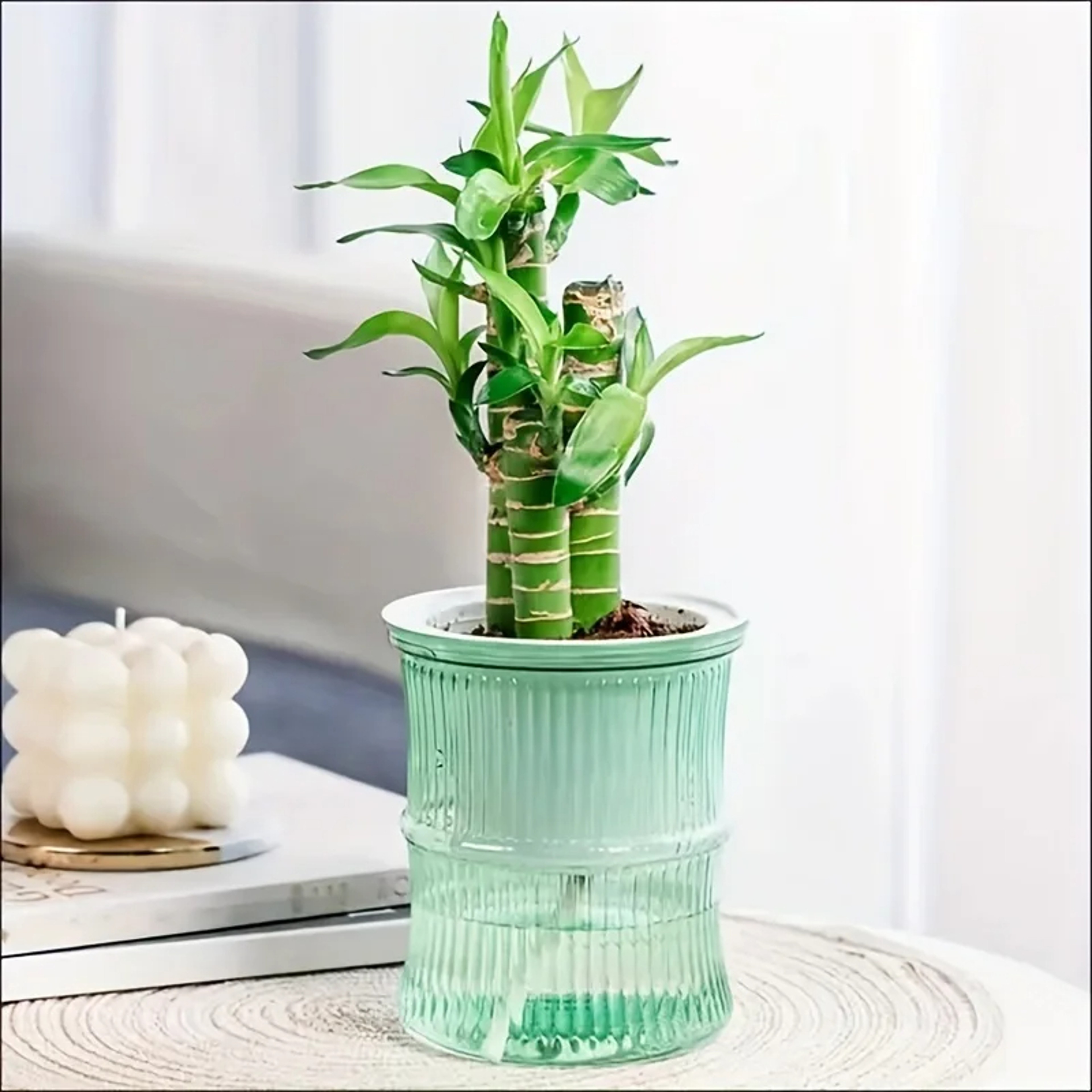 Self Watering Hydroponic Flower Pot Automatic Double Layer Planter For Effortless Indoor Plant Care 3