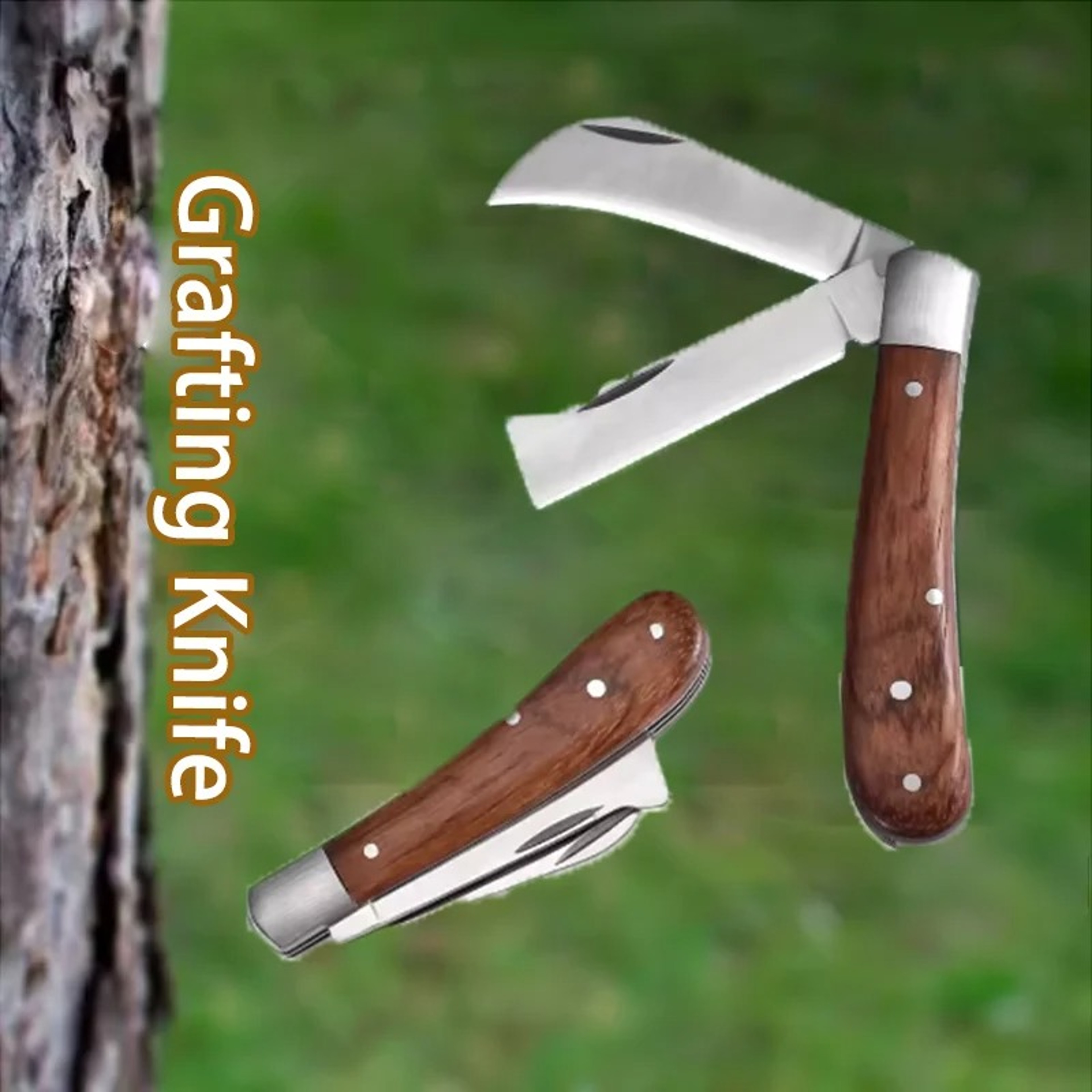 Professional Folding Grafting Knife Precision Fruit Tree Grafting  Pruning Tool With Wooden Handle 1