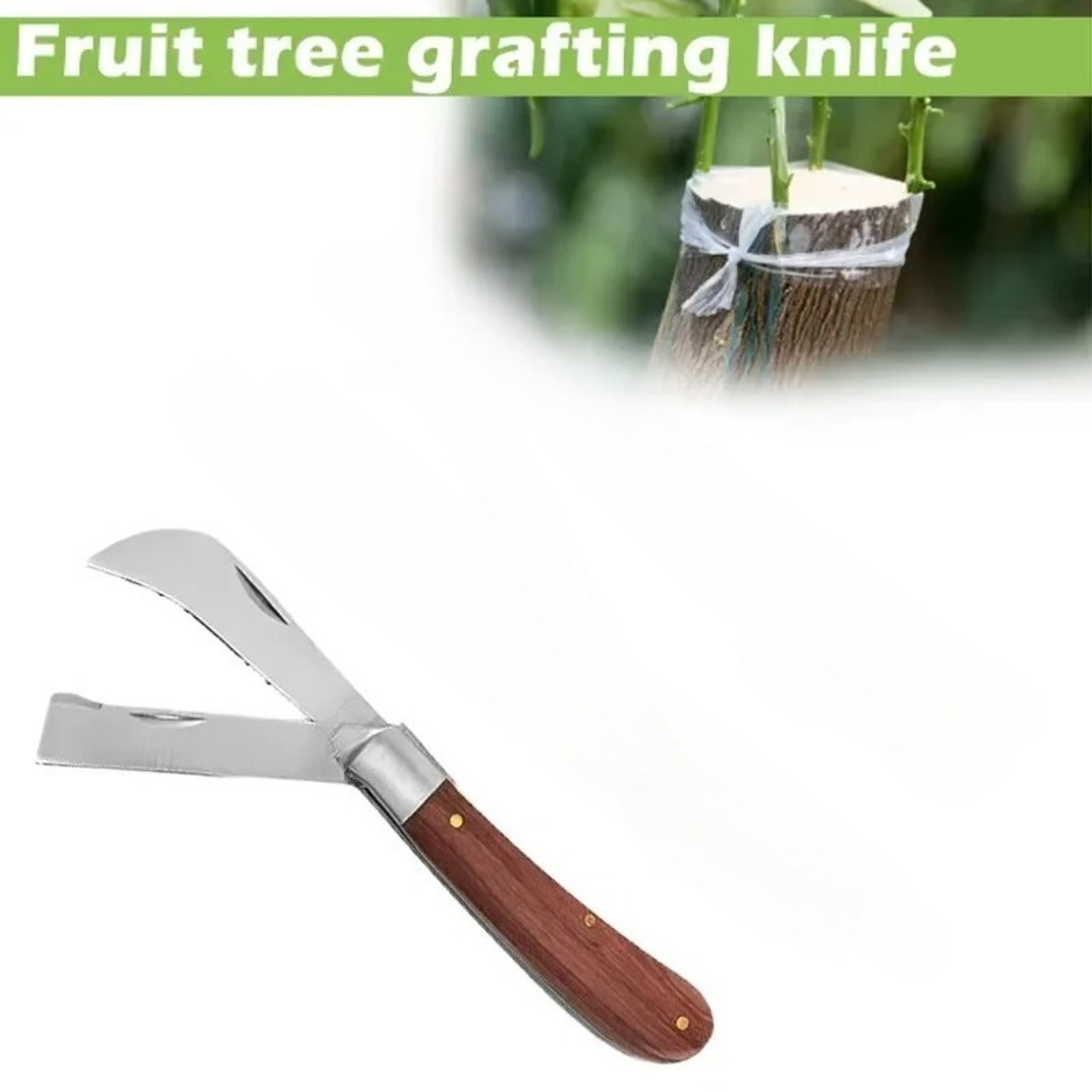 Professional Folding Grafting Knife Precision Fruit Tree Grafting  Pruning Tool With Wooden Handle 2