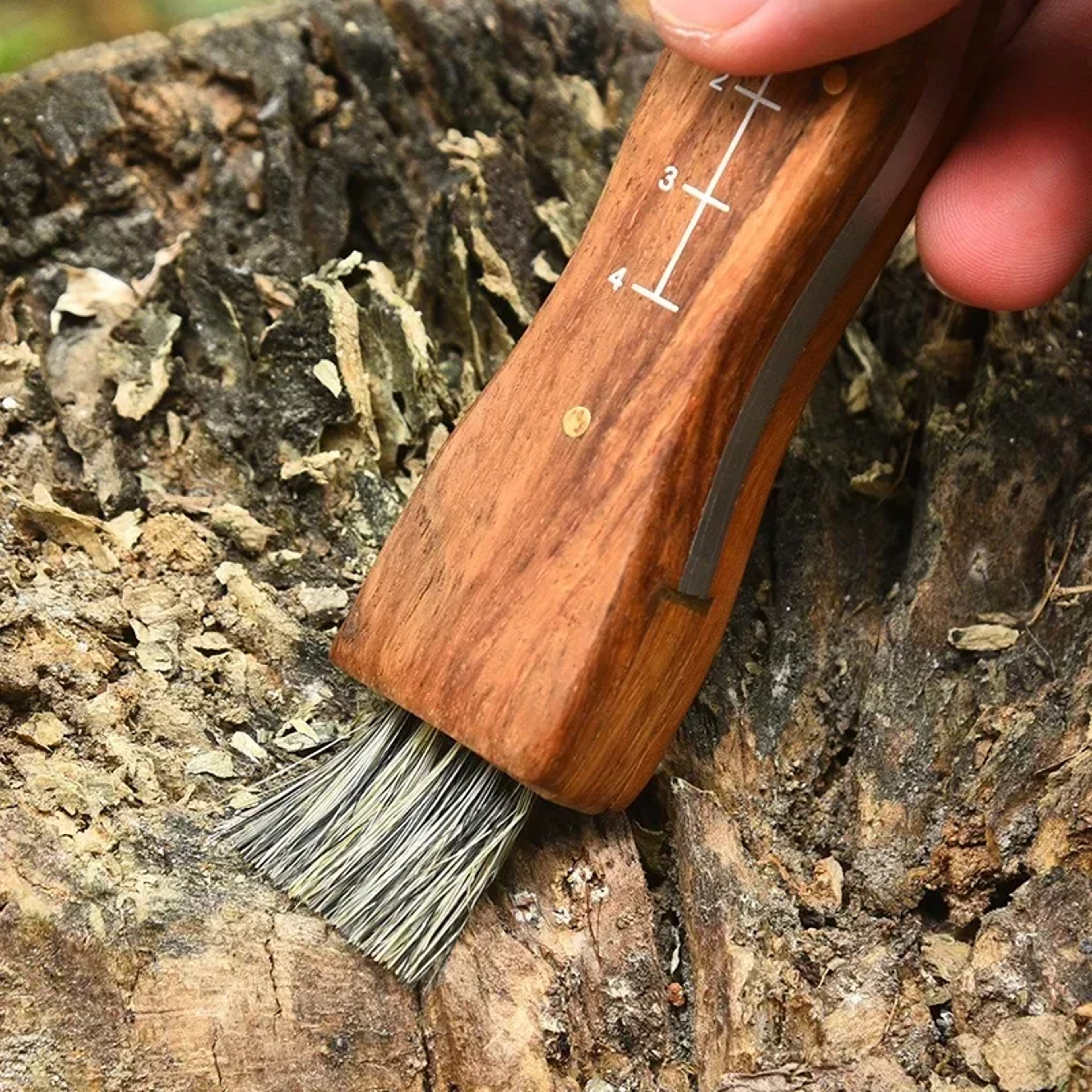 Premium Outdoor Stainless Steel Folding Knife Mini Mushroom, Hunting & Survival – view 4