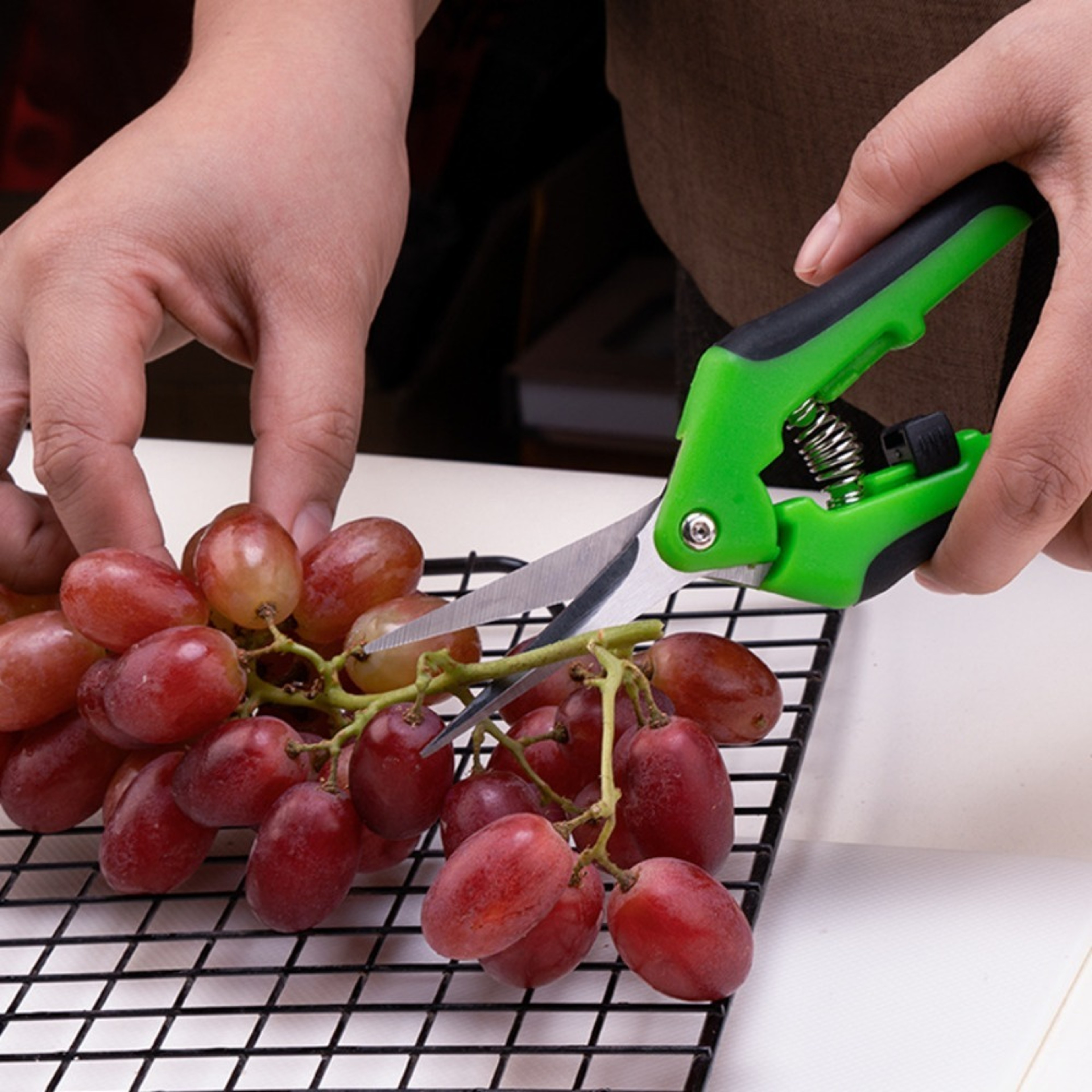 Ergonomic Stainless Steel Garden Pruning Shears 1