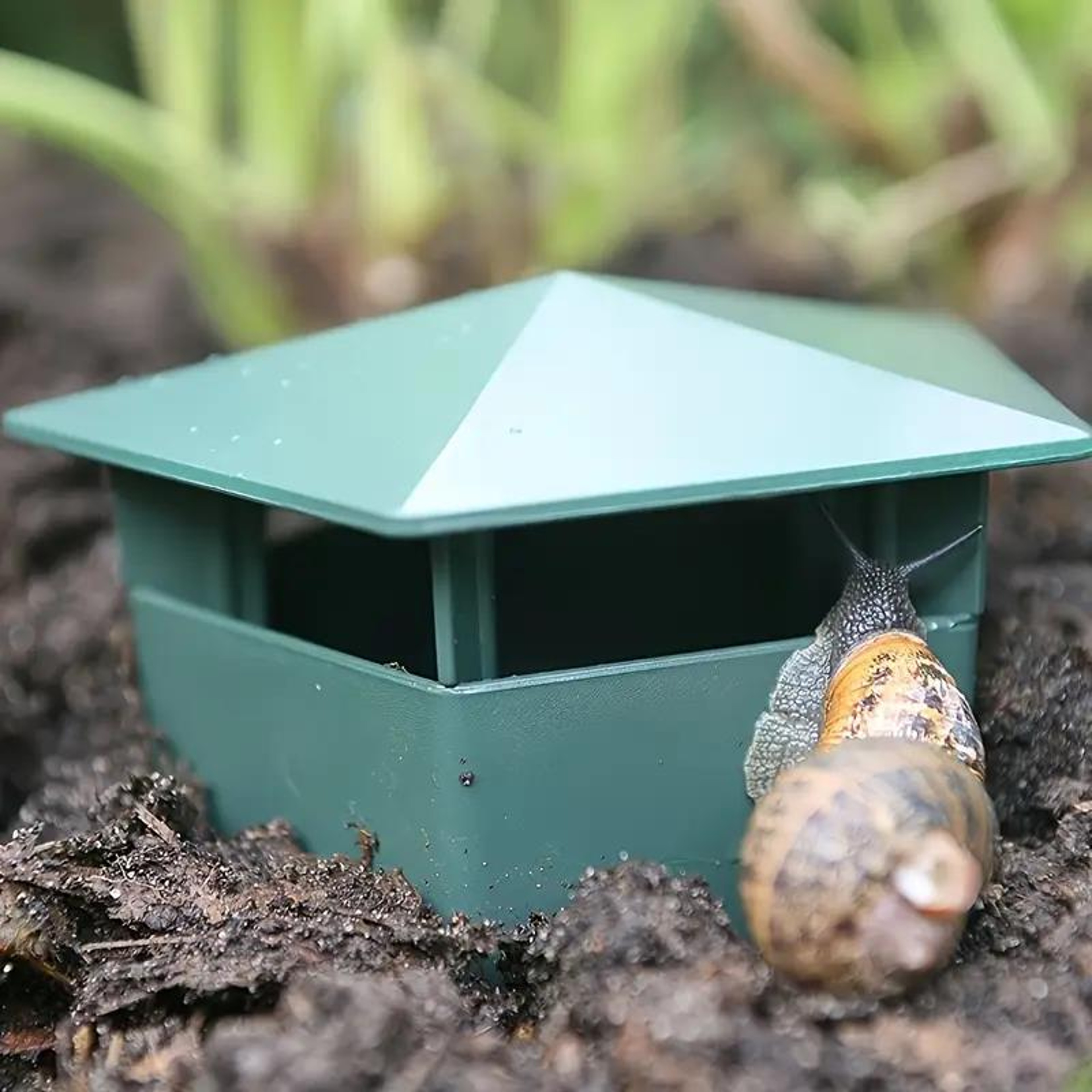 Reusable Snail And Slug Trap For Chemical Free Garden Pest Control 2
