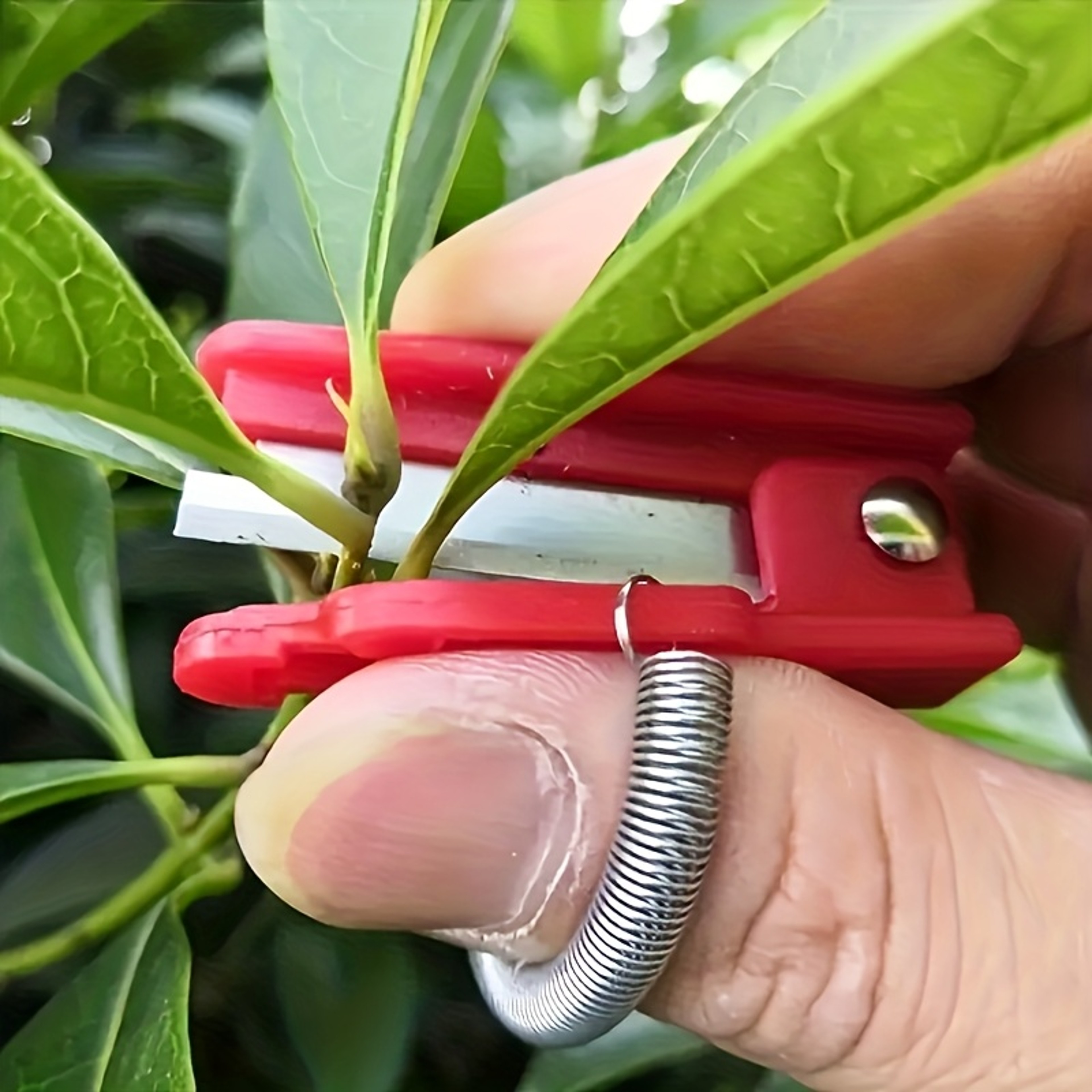 Ergonomic Gardening Scissors for Herbs Bonsai and Precise Plant Pruning – view 1