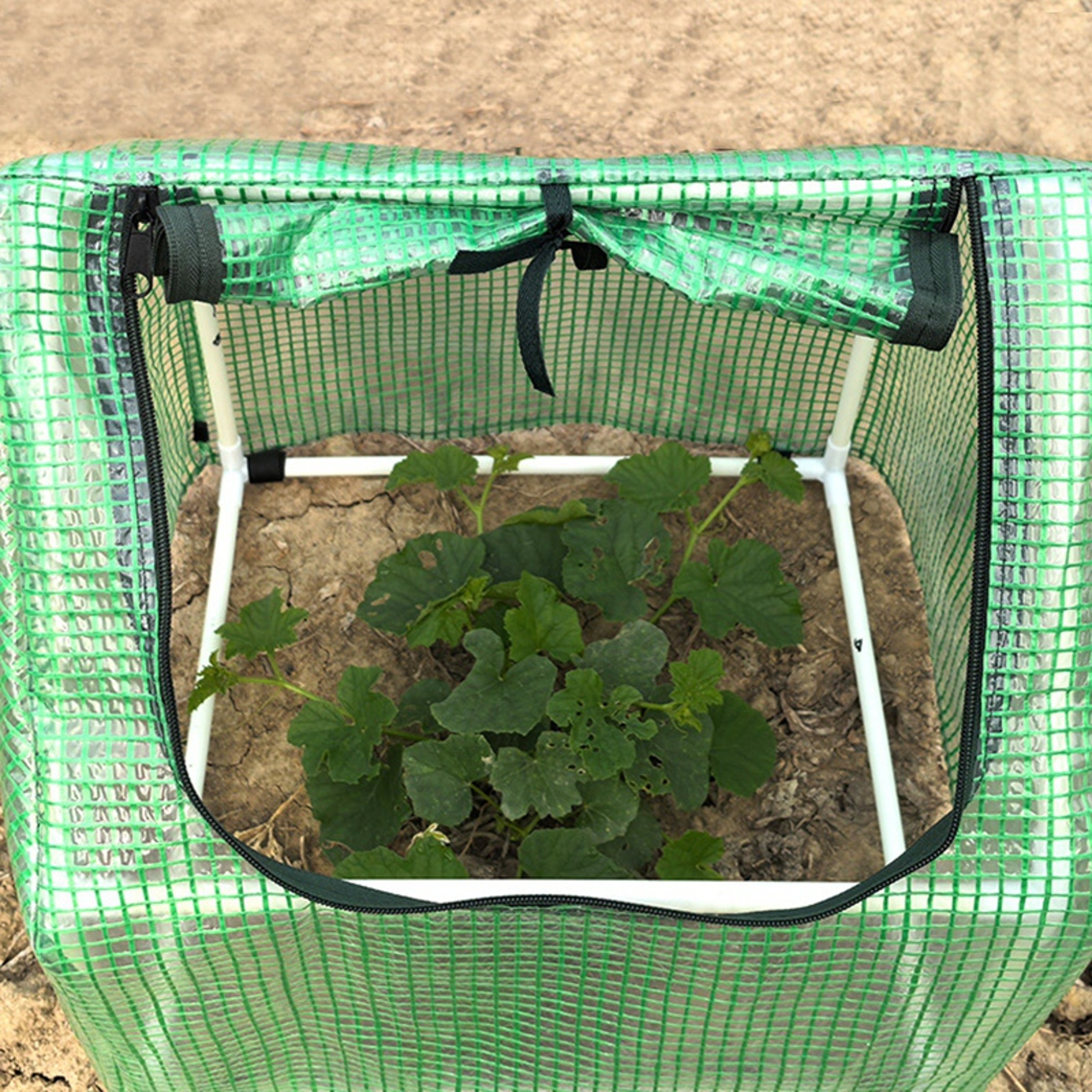 Winter Plant Warm Covers Pop Up Mini Greenhouse With Zipper Garden Tent Freeze Protection Humidity  3