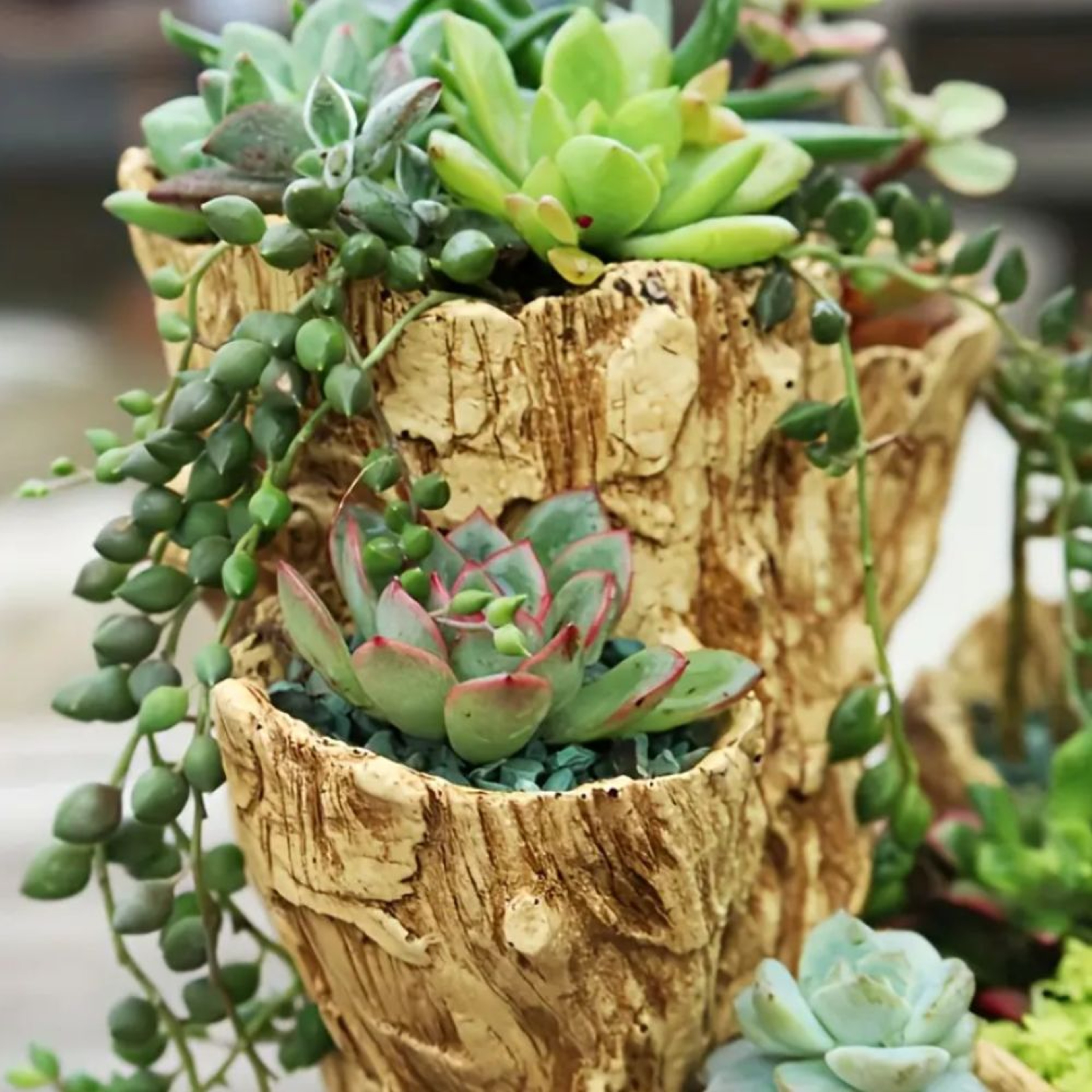 Retro Style Resin Succulent Flowerpot with Drainage Hole, Unique Asymmetrical Texture Design, Dual-Use Indoor Outdoor – view 3