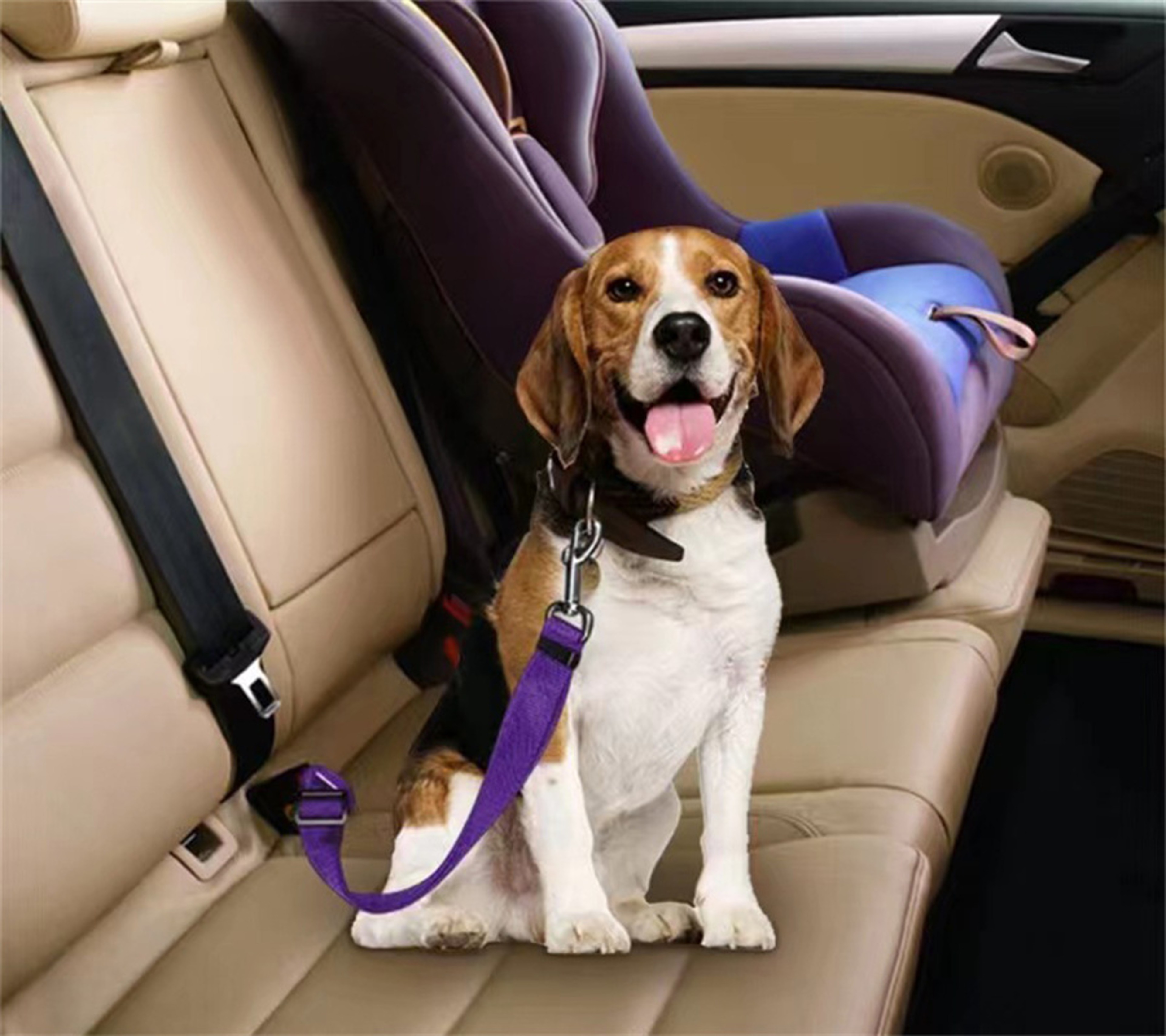 Adjustable Pet Cat Dog Car Seat Belt, Universal Safety Buckle, Adjustable Safety Rope, Dog Car Seat Belts Accessories – view 3