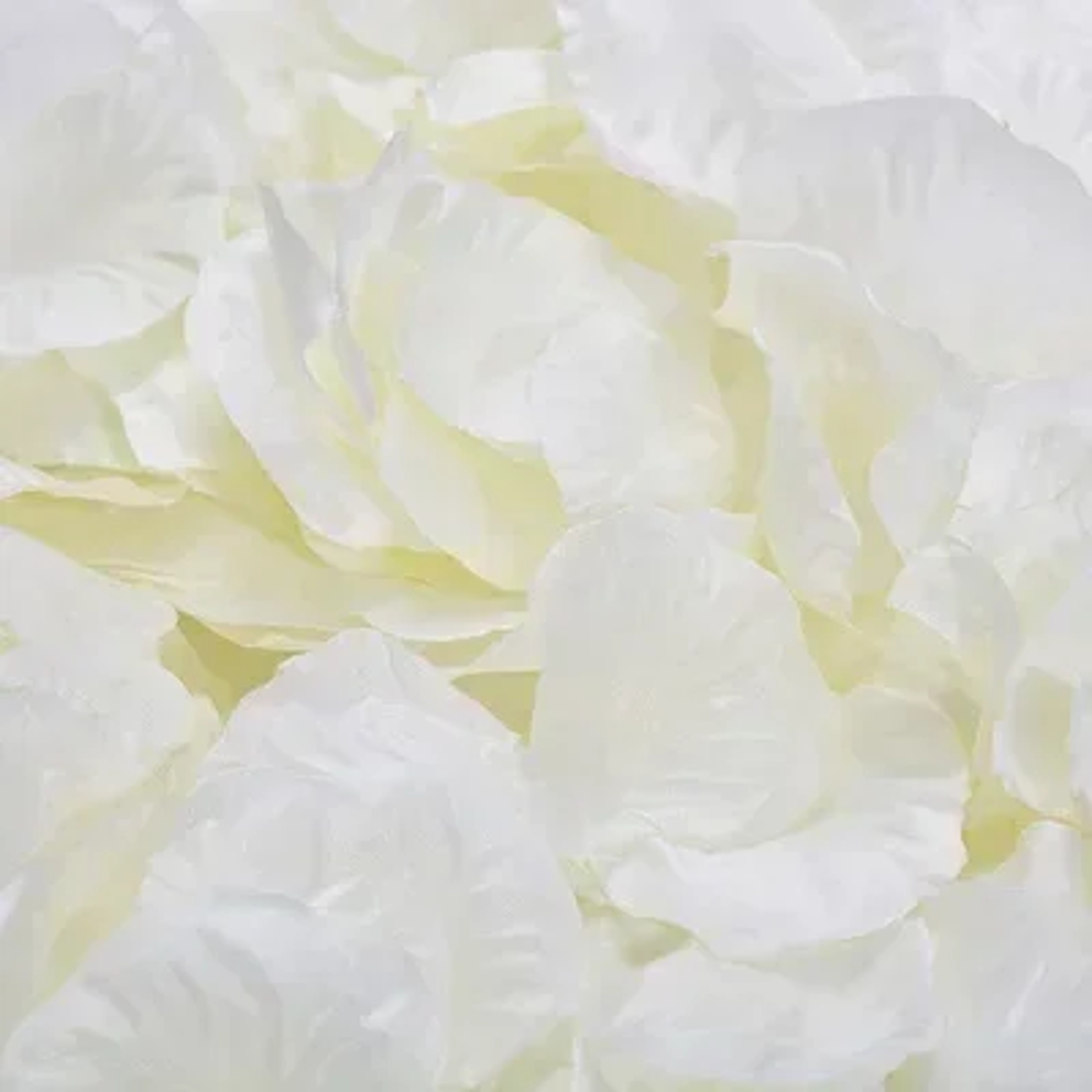 Artificial Fake Rose Petals Colorful Simulation Silk Rose Petal Valentines Day Wedding Party Romant 14