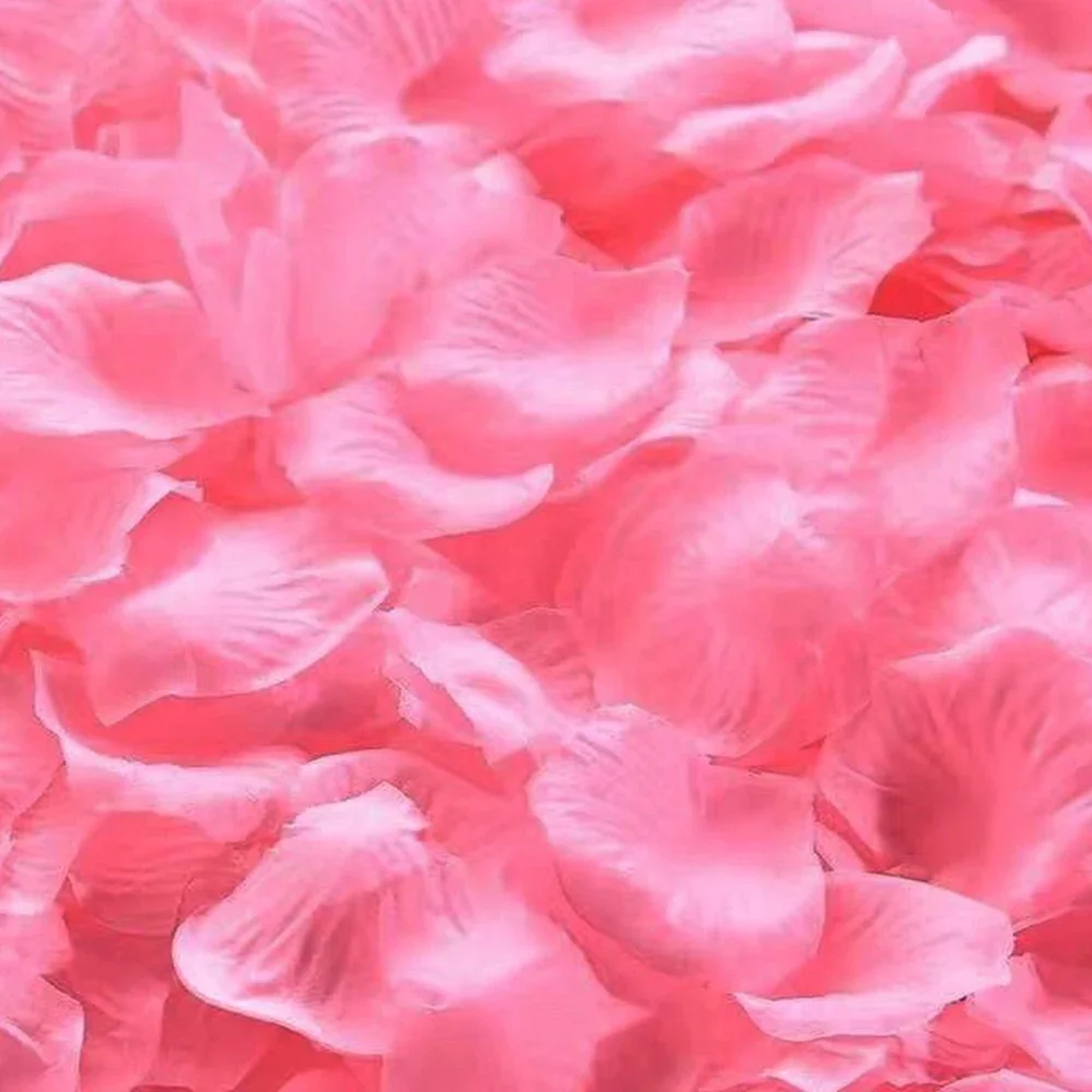 Colorful Artificial Fake Rose Petals Red White Gold Rose For Wedding Party Valentine Decor Romantic 11