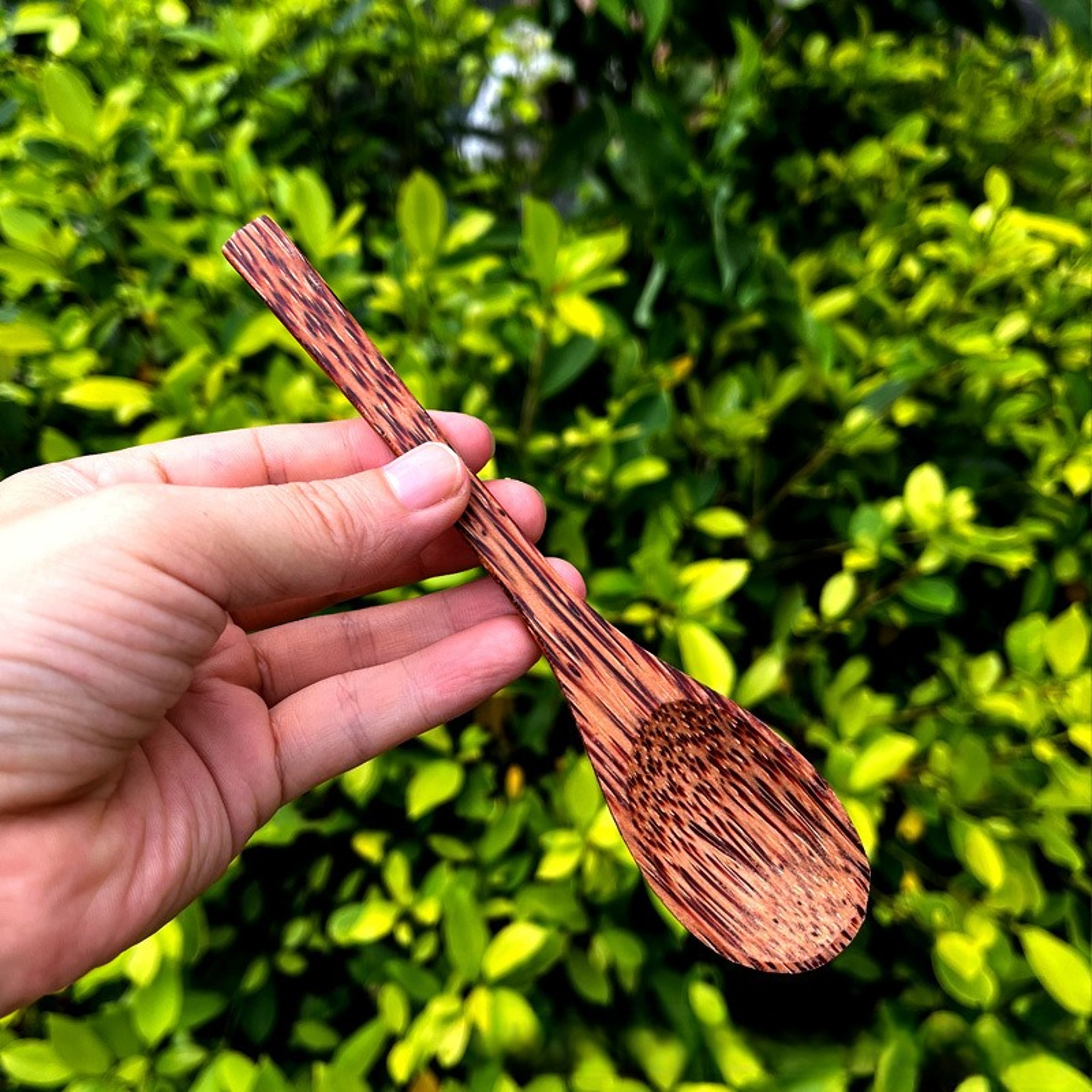 Natural Coconut Spoon Set, Wooden Salad and Ramen Bowl, Coconut Wood Spoons, Coco Smoothie Kitchen Tableware, Eco-Friend – view 6