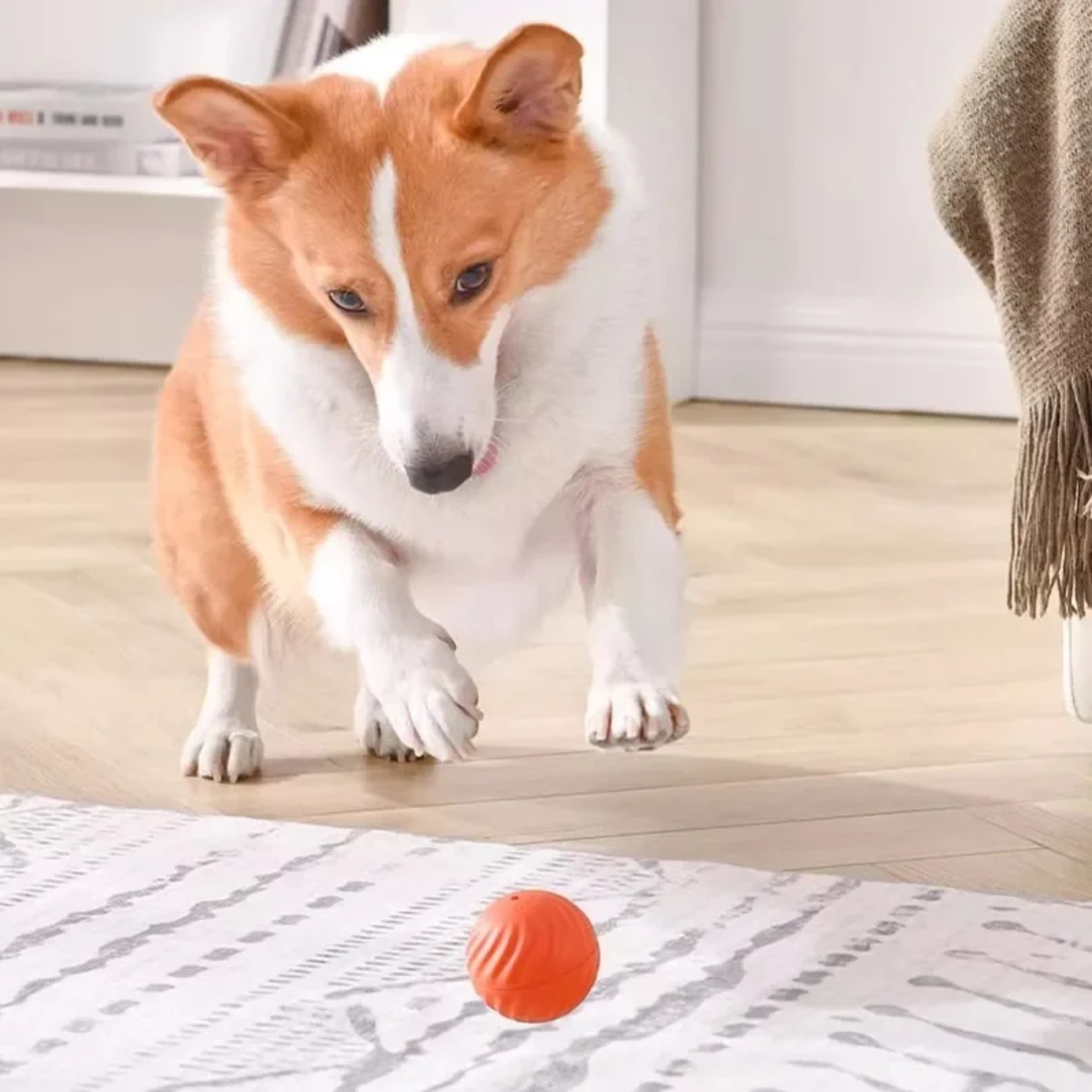 Smart Puppy Ball Toy, USB Jumping Rotating Dog Chewing Interactive Toy – view 4