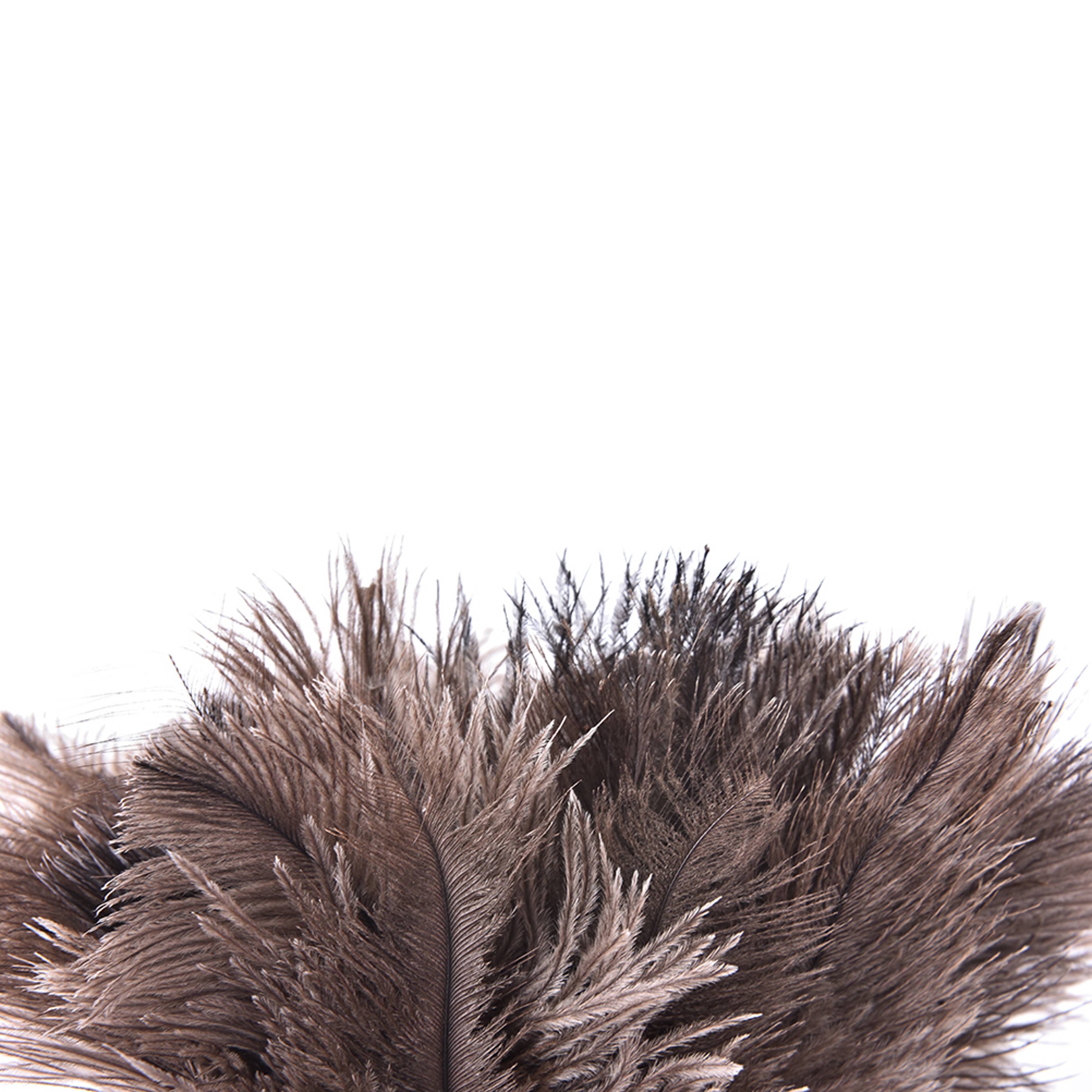 Ostrich Natural Feather Duster Brush with Wood Handle for Anti-static Household and Car Dust Cleaning Tool – view 5