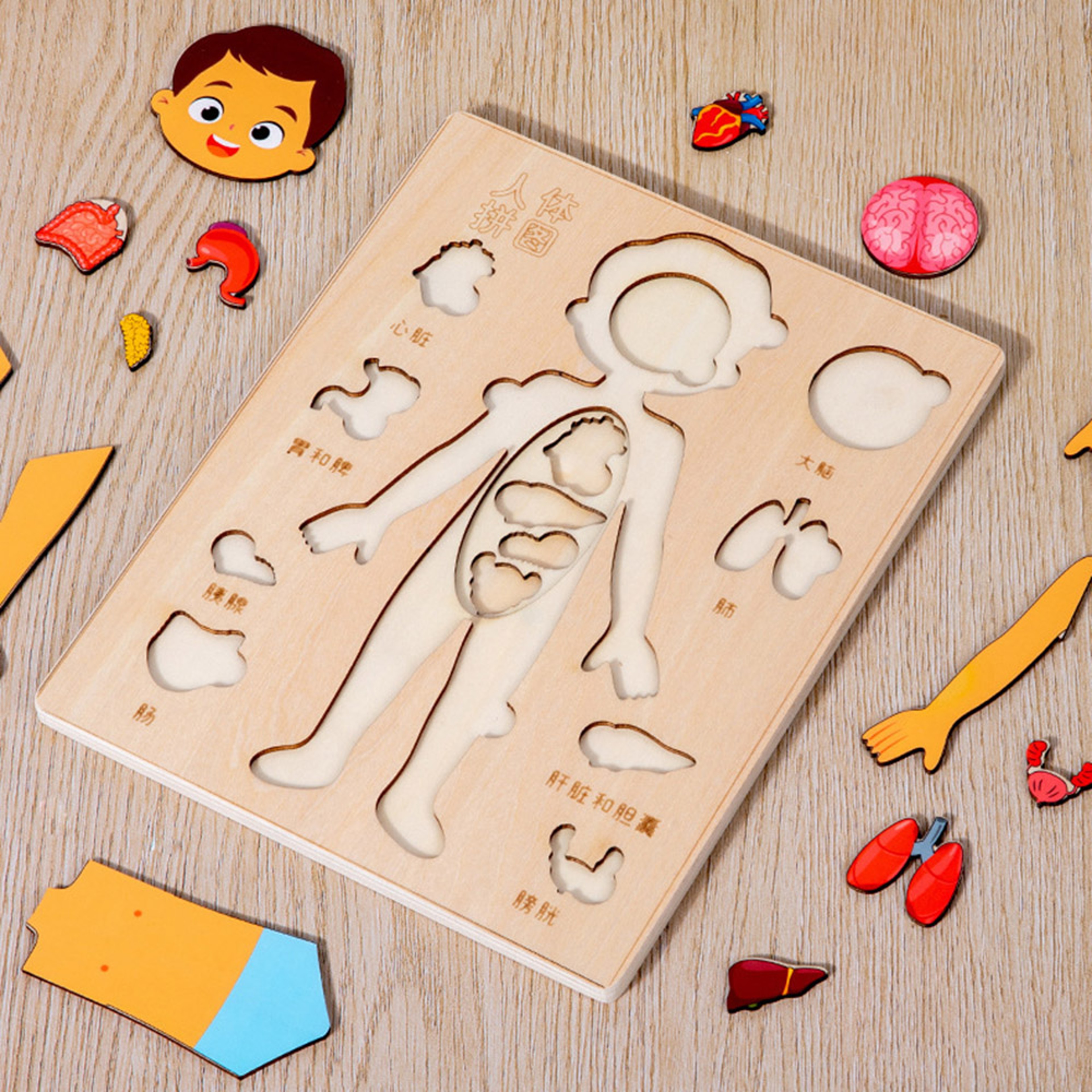 Montessori Human Body Puzzle Busy Board For Toddlers Early Learning Game 2