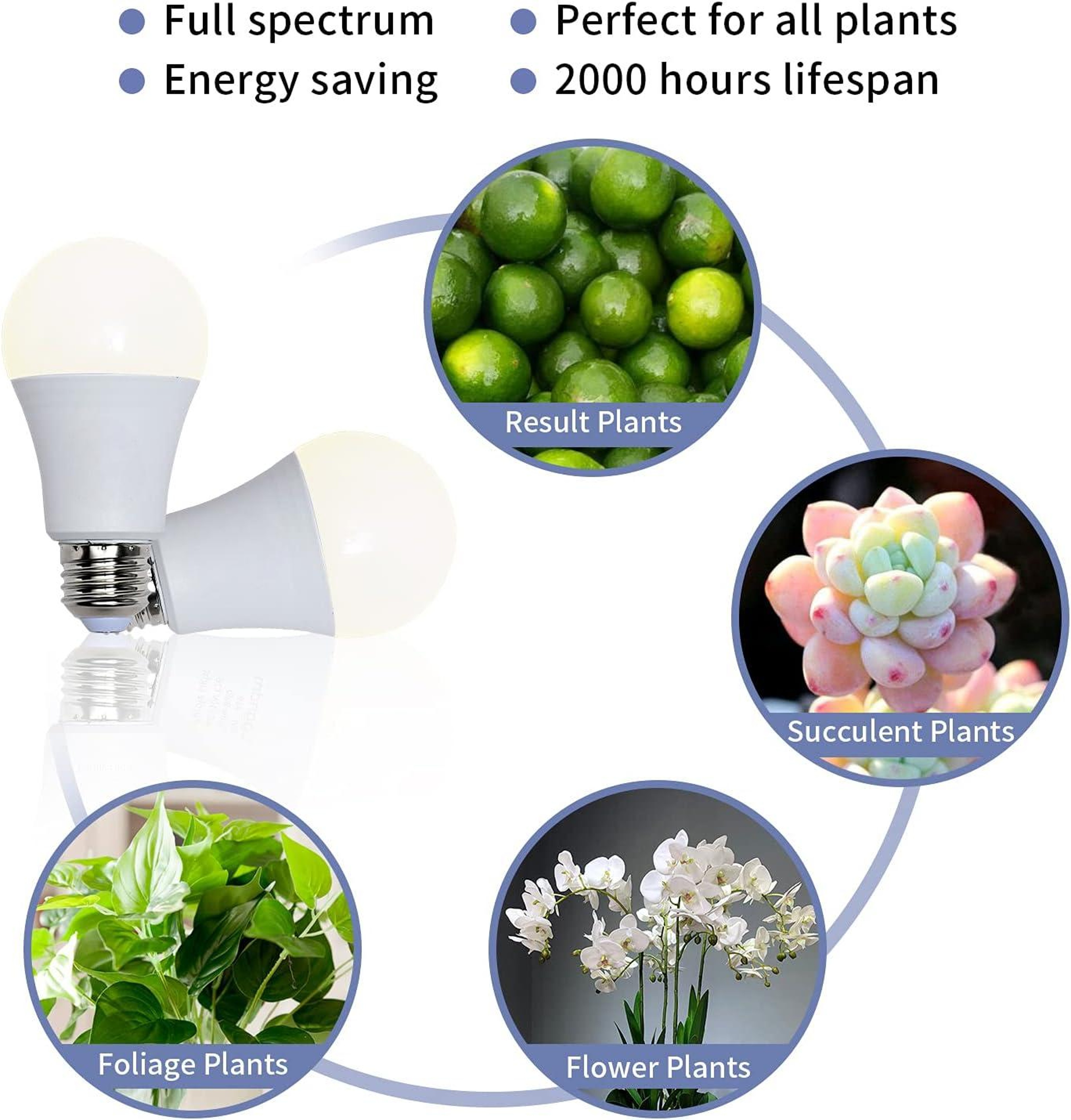 Full Spectrum Grow Light Bulb, LED Grow Lamp, Plant Light Bulbs Base – view 3