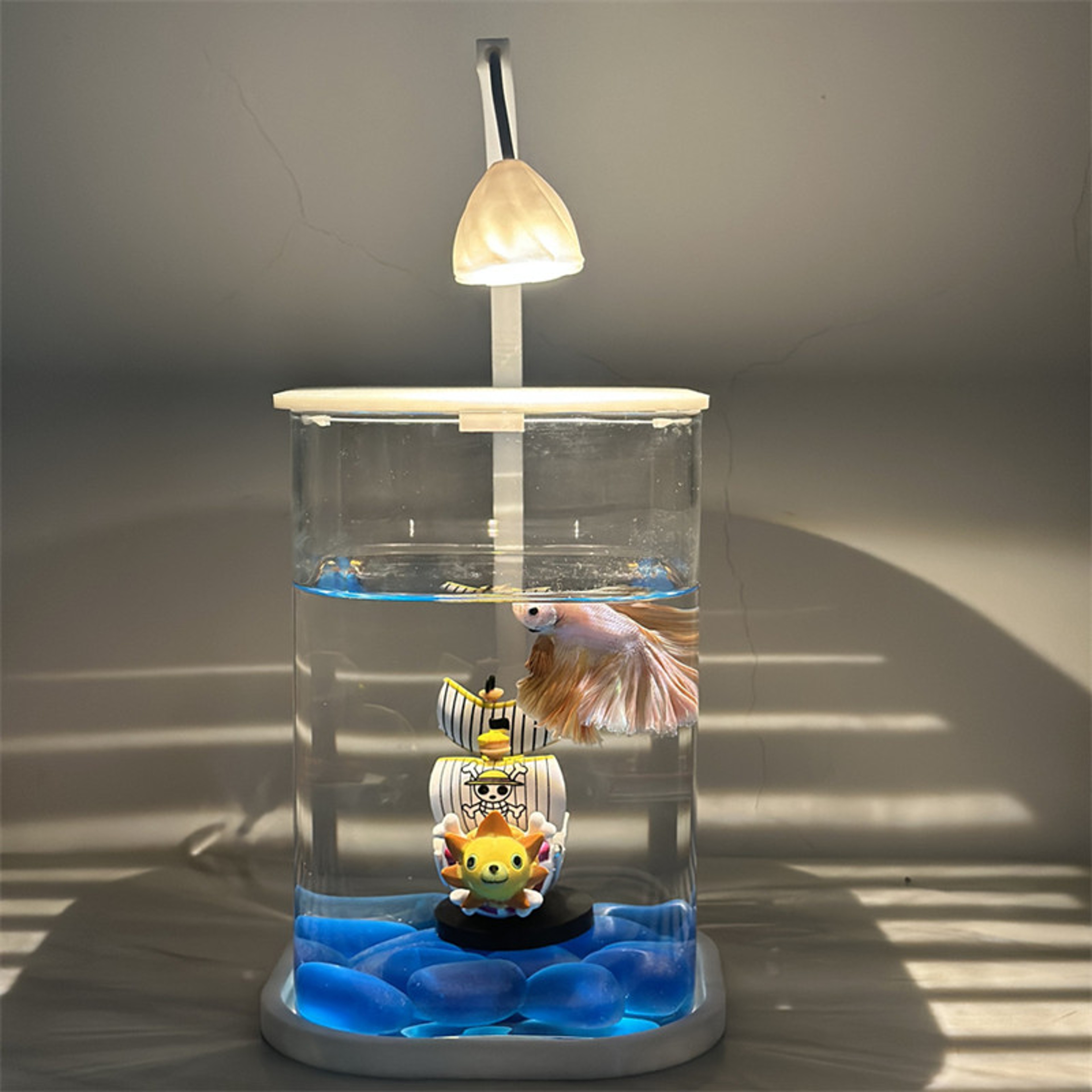 Betta Fish Mini Desktop Glass Aquarium Tank With LED Light For Kids Betta Fish 0