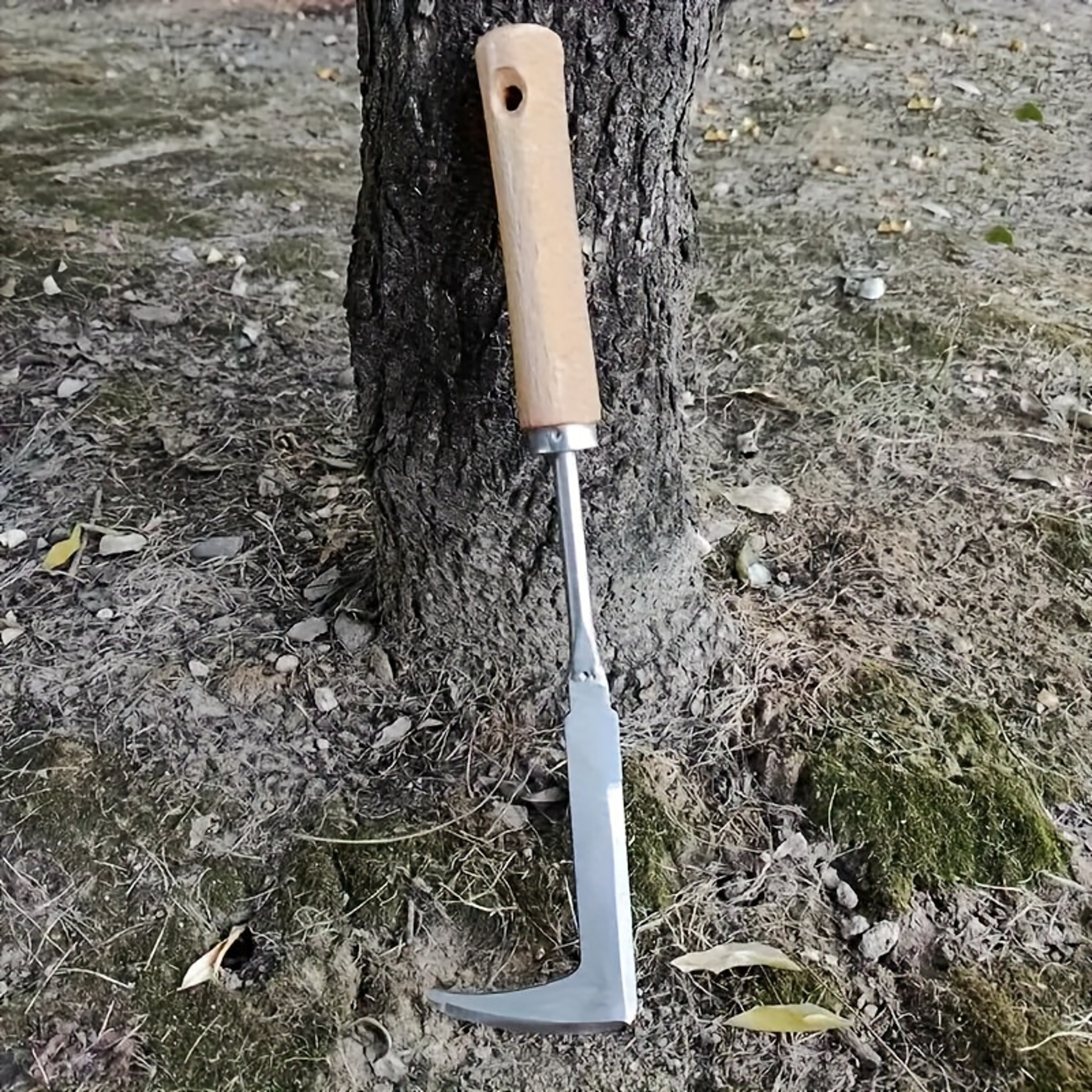 Stainless Steel Weeding Tool 1pc, For Digging Herbs, Wild Vegetables, Bonsai, Soil Loosening, Ideal Holiday Gift – view 3
