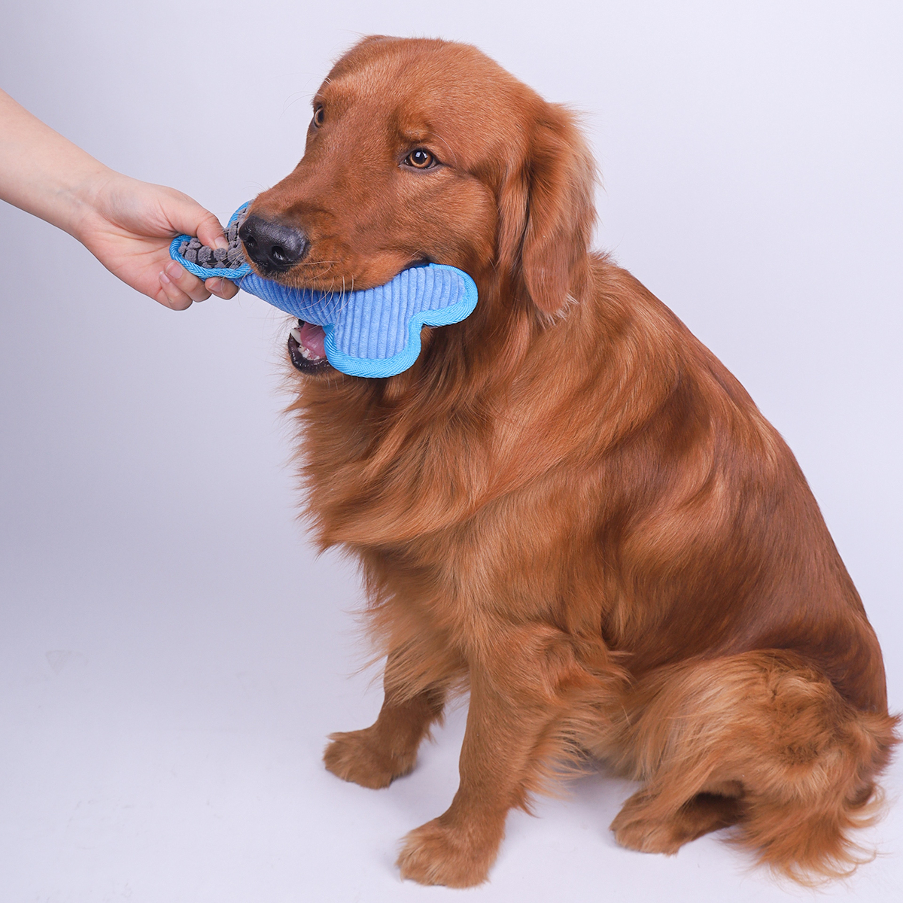Stuffed Plush Chew Toys For Dogs Squeaky Bones Toy Puppy Birthday Gifts 7