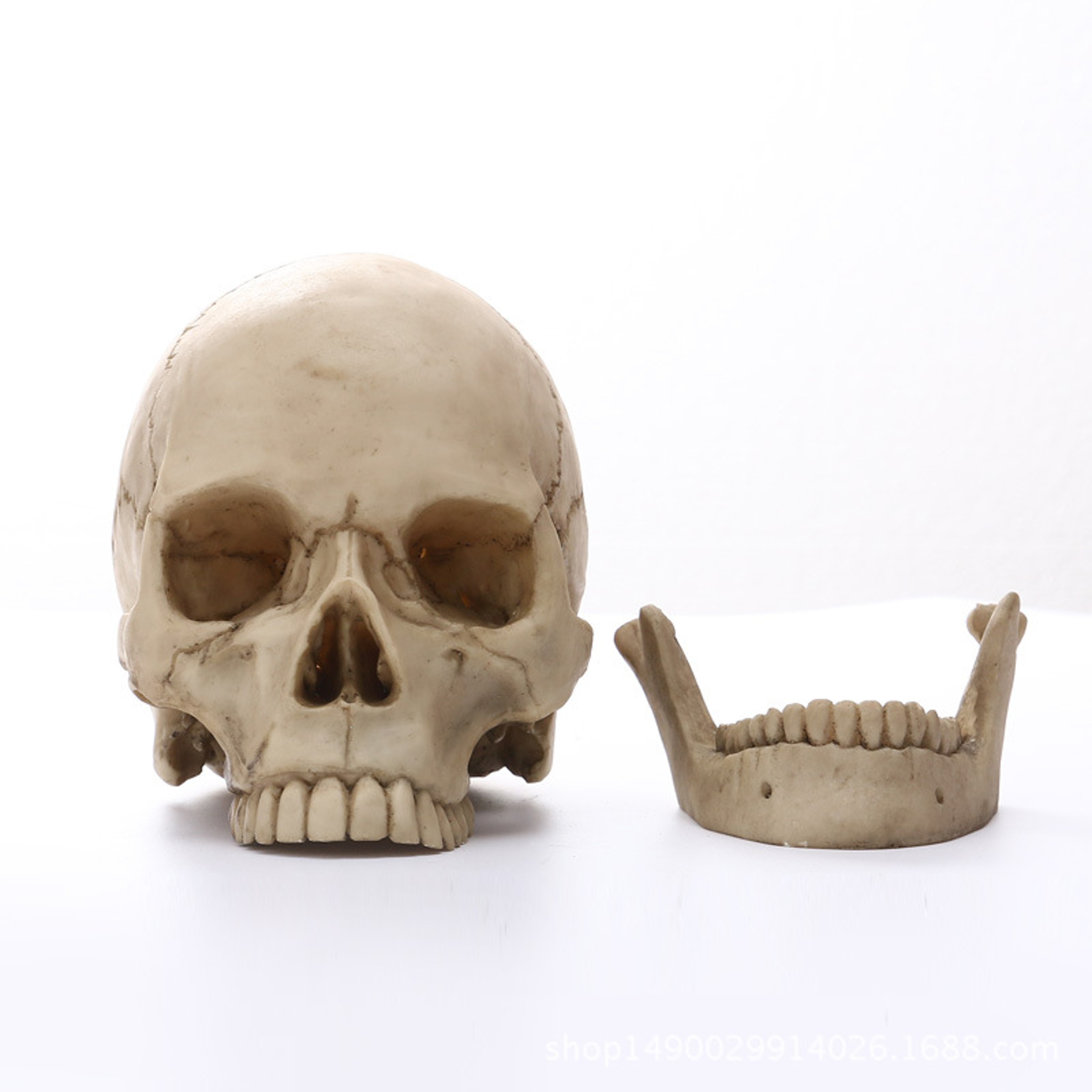Human Head Skull Statue Resin Figurines For Medical Teaching Halloween Decor Crafts 2