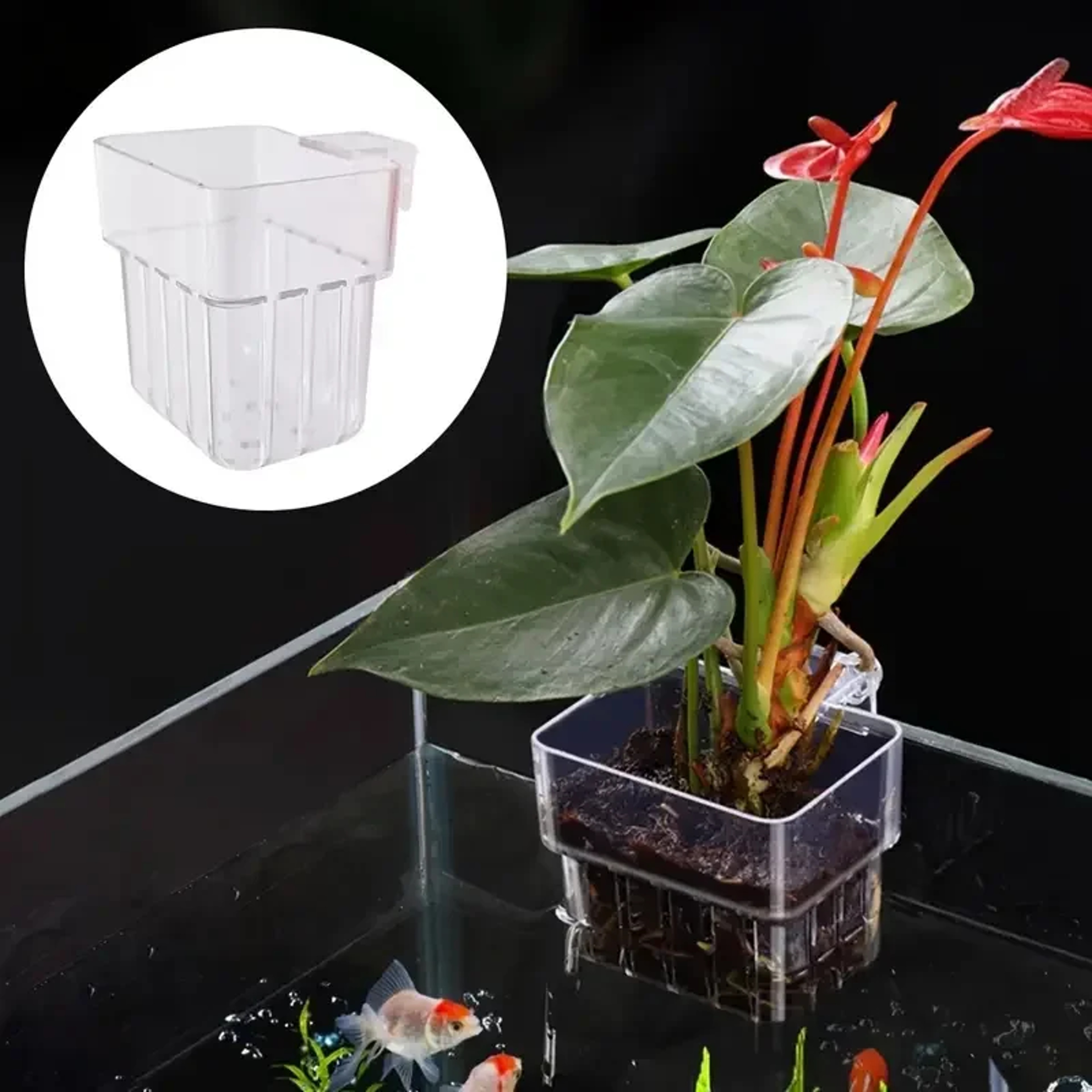 Hydroponic Planting Cup Wall Mounted Transparent Fish Tank Decoration – view 2