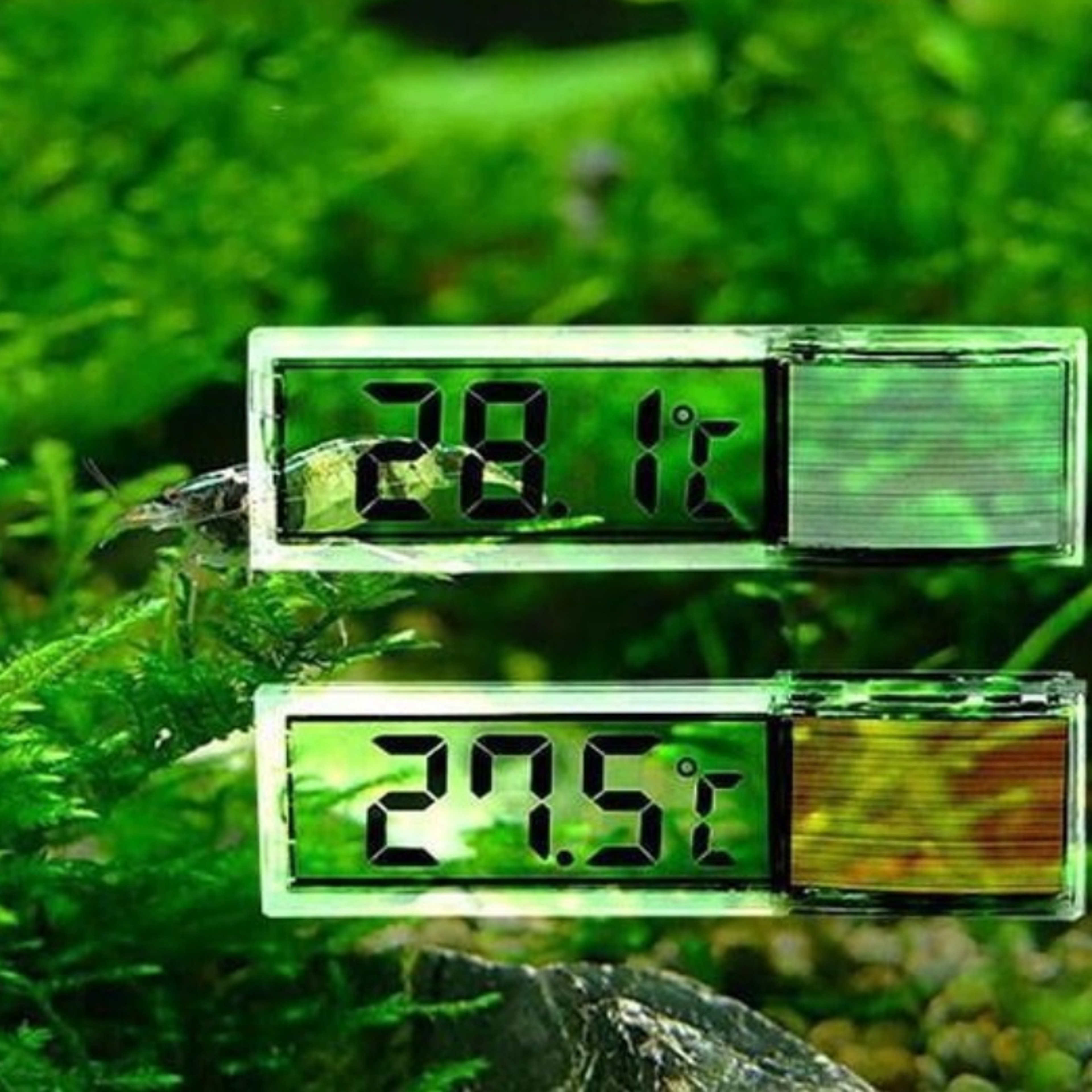 Digital LED Aquarium Thermometer for Fish Tanks – Accurate Temperature Display for Fish, Turtles, and Aquatic Pets – view 3