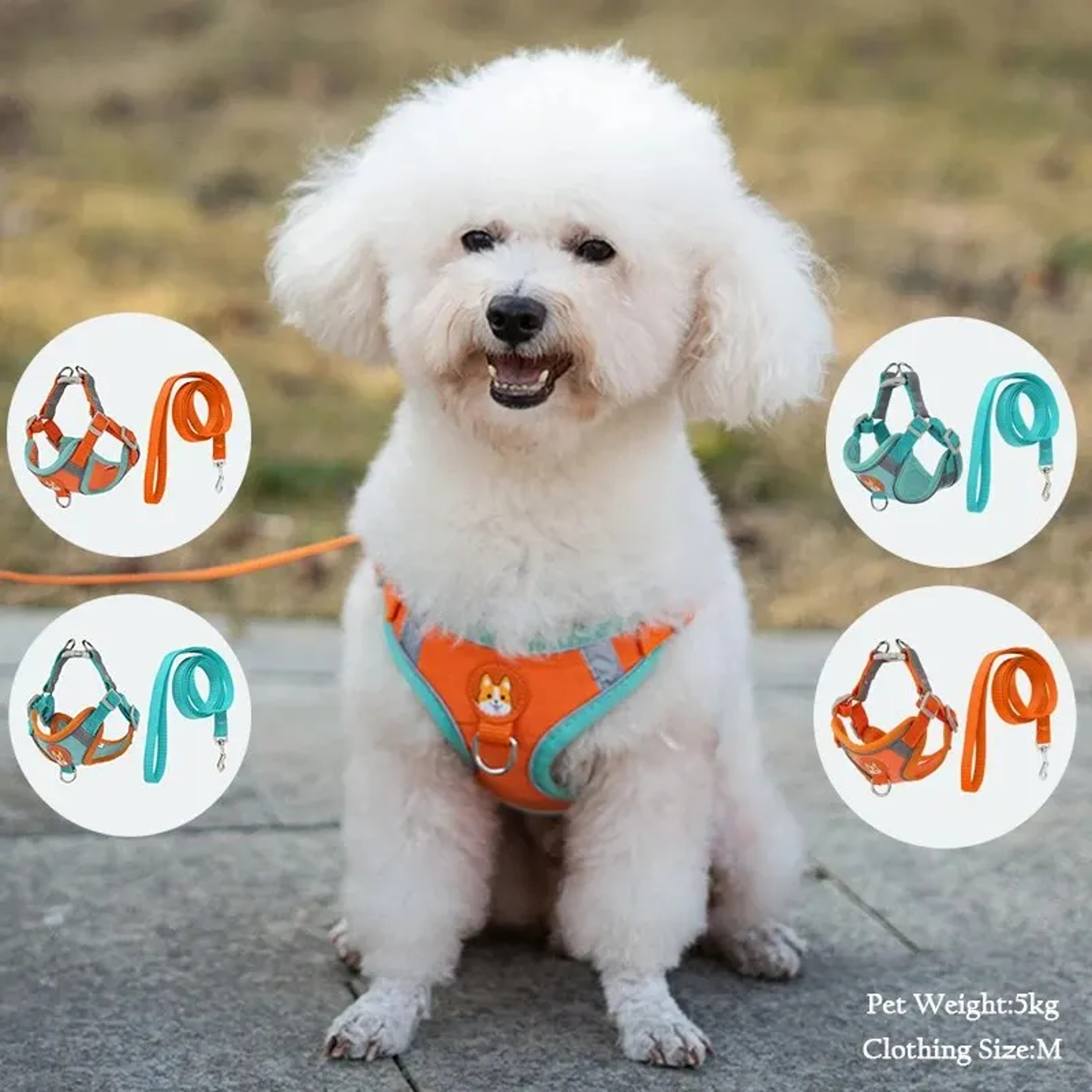 Booteely Reflective Pet Harness Vest with Leash for Small Dogs and Cats – Suede, Lightweight, and Convenient – view 1